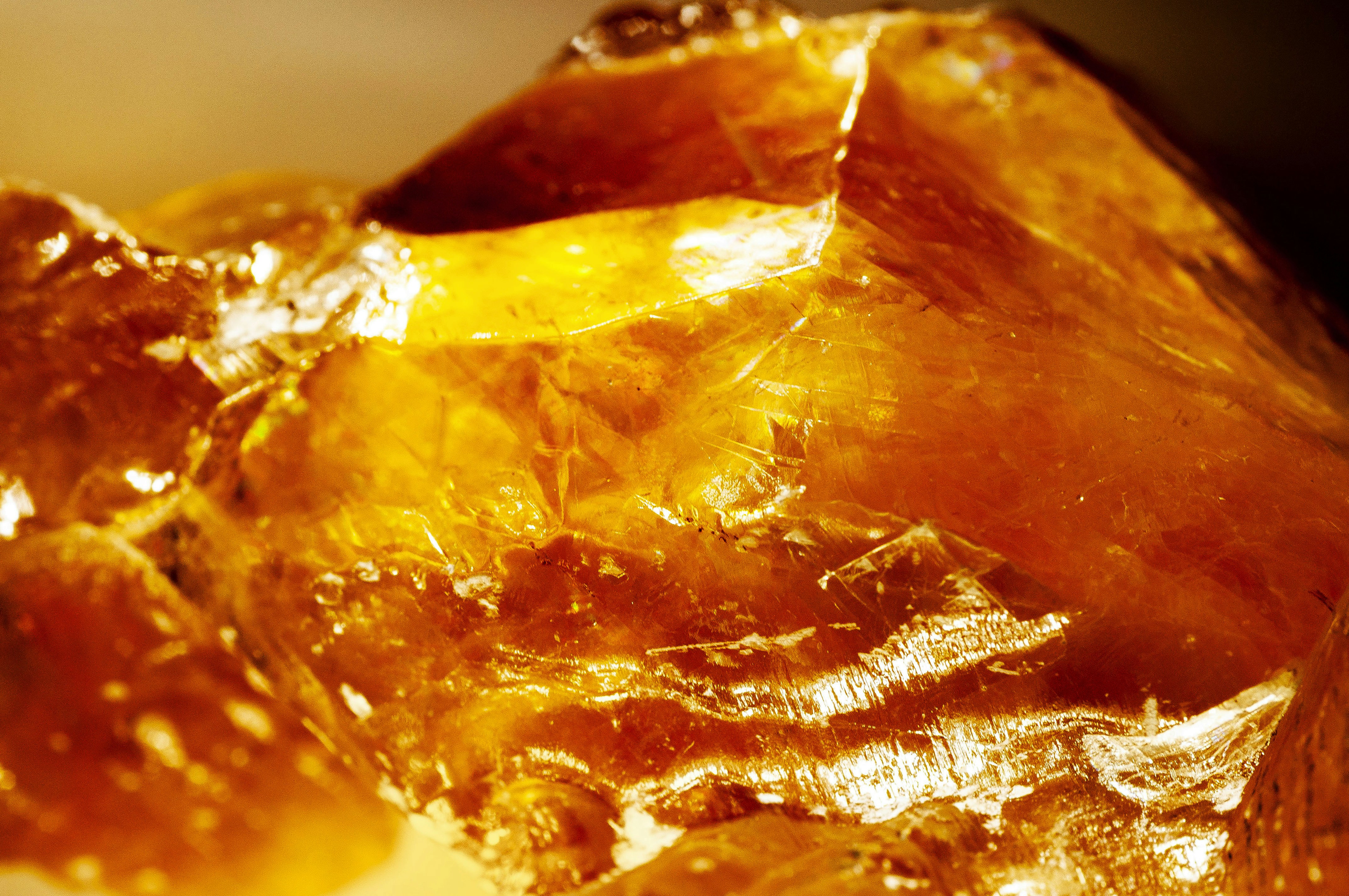 Translucent golden acacia gum resin crystals on a dark stone surface, macro photography, warm amber light, natural texture