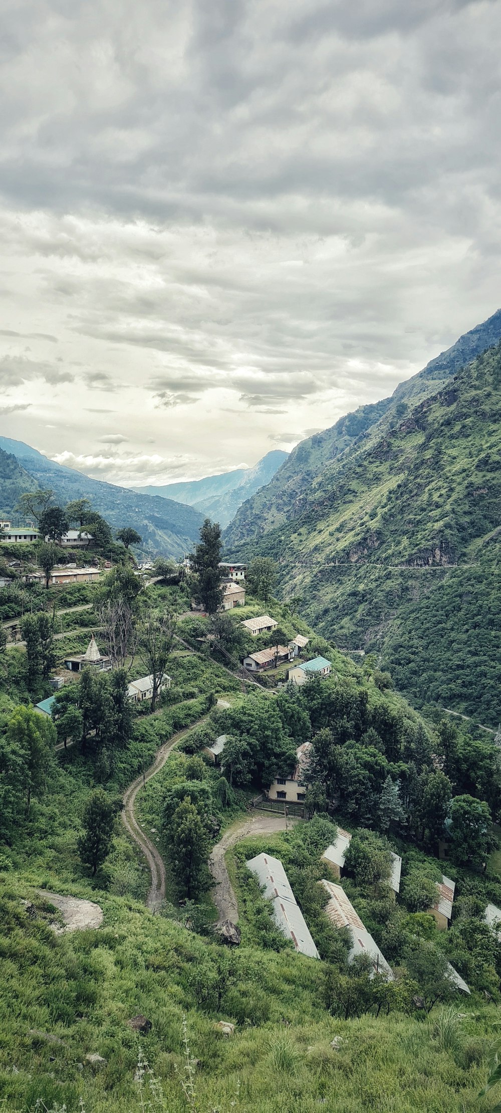 a lush green hillside covered in lots of trees