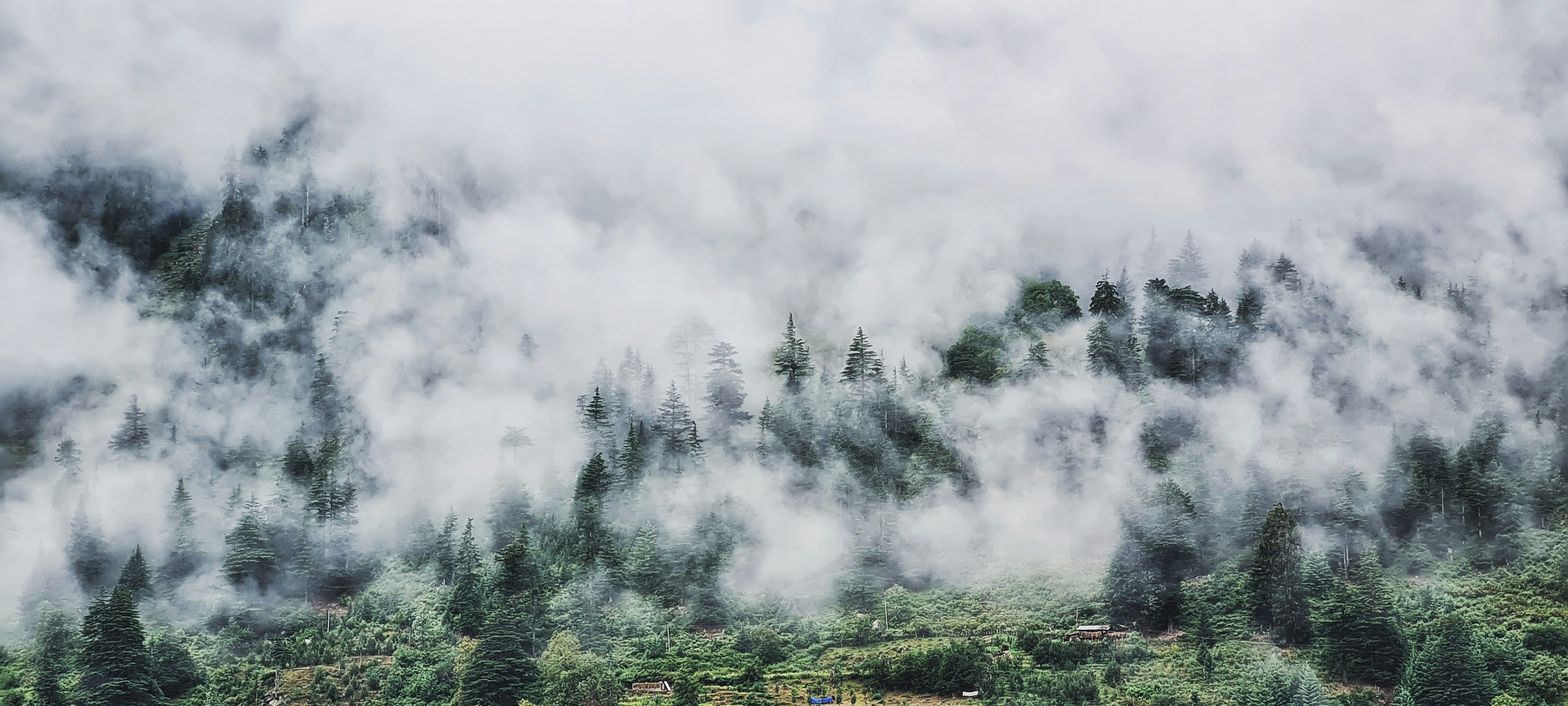 a mountain covered in clouds and trees