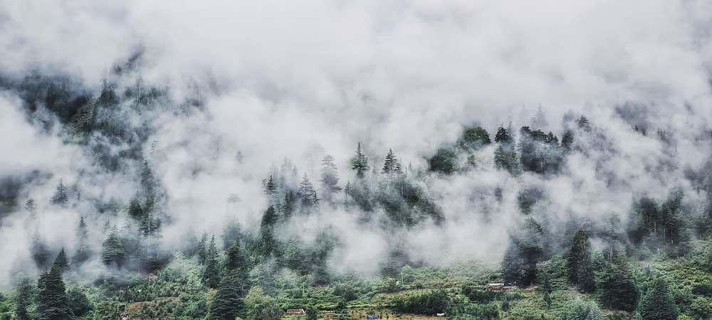 a mountain covered in clouds and trees