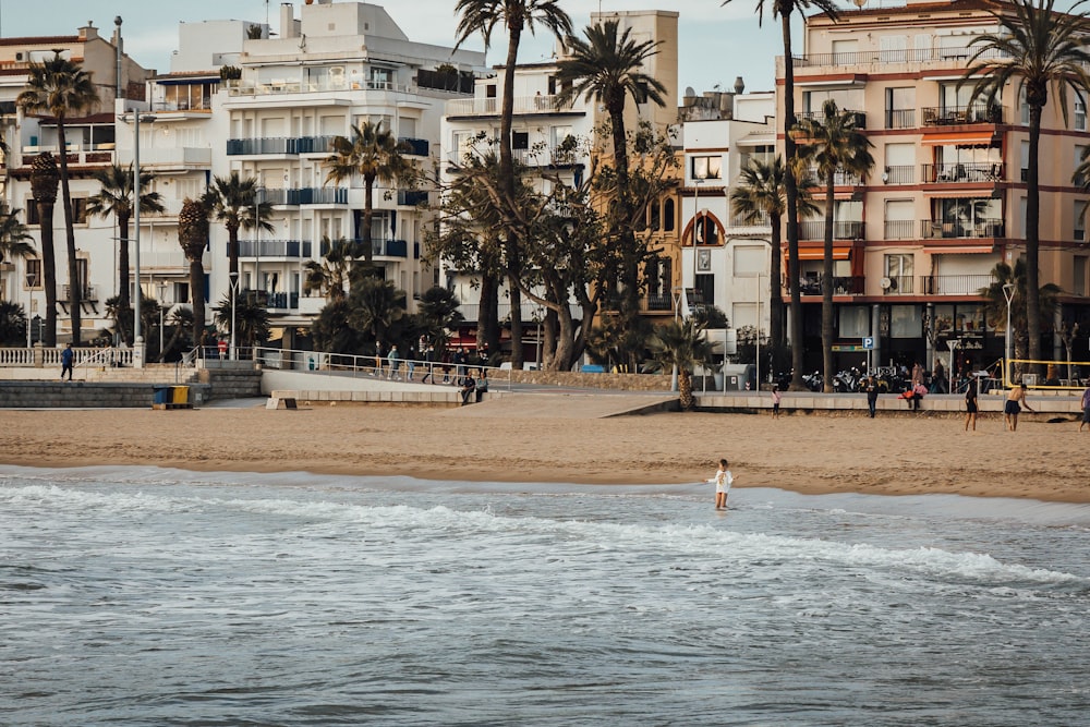 a person standing on a beach next to a body of water