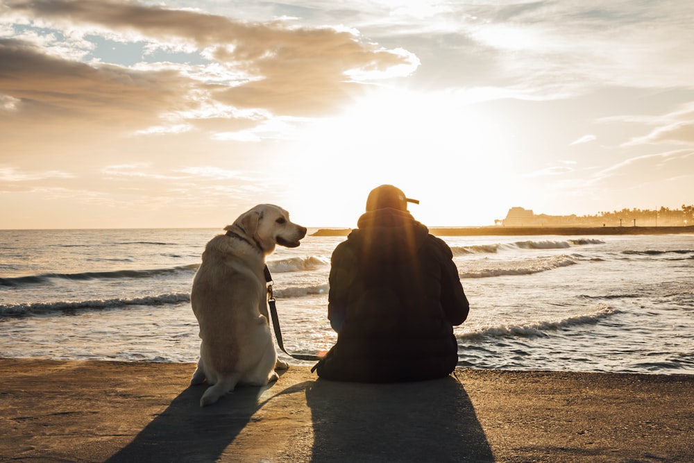 a woman and a dog are sitting on the beach