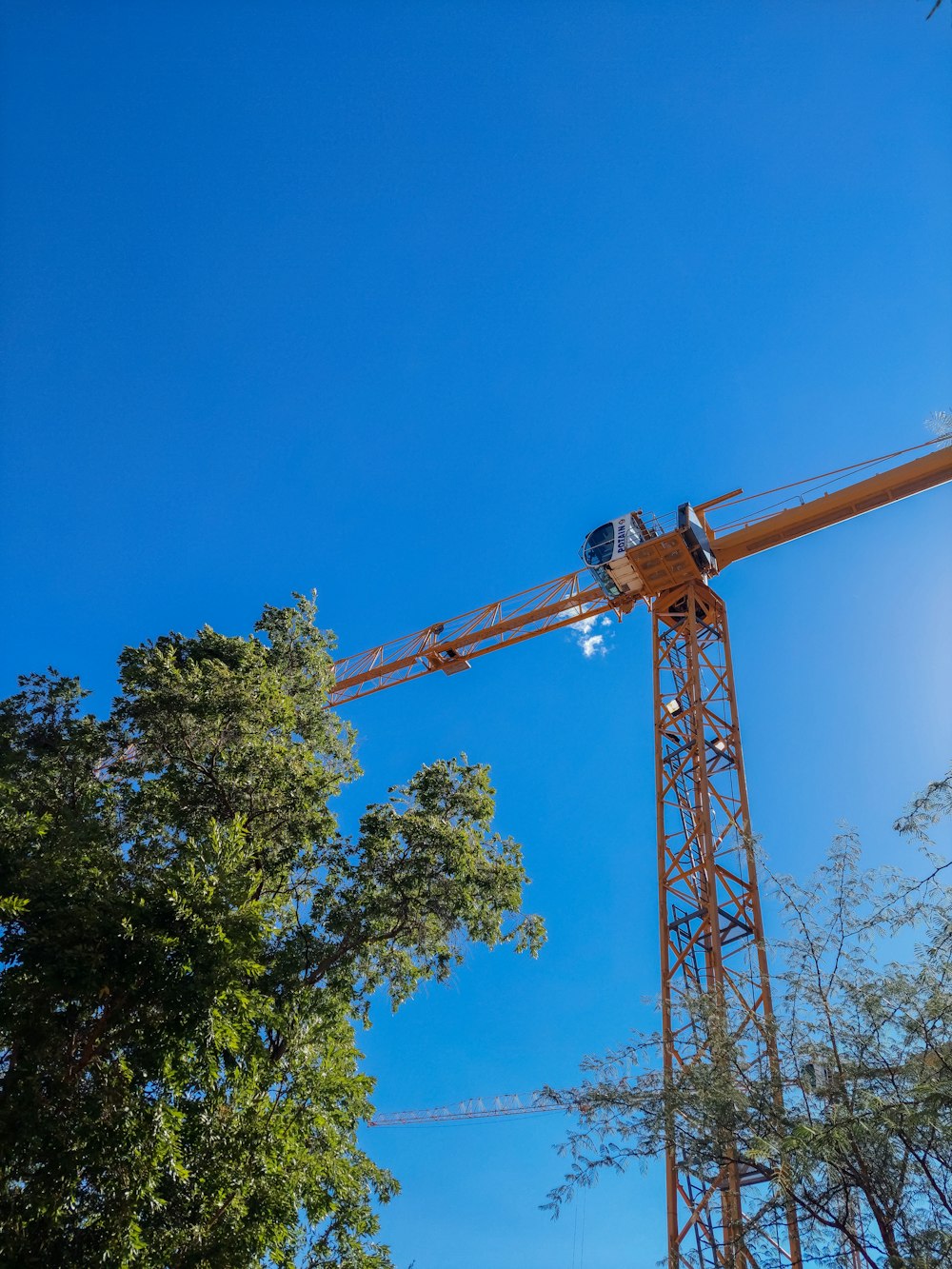 a crane that is sitting in the middle of a tree