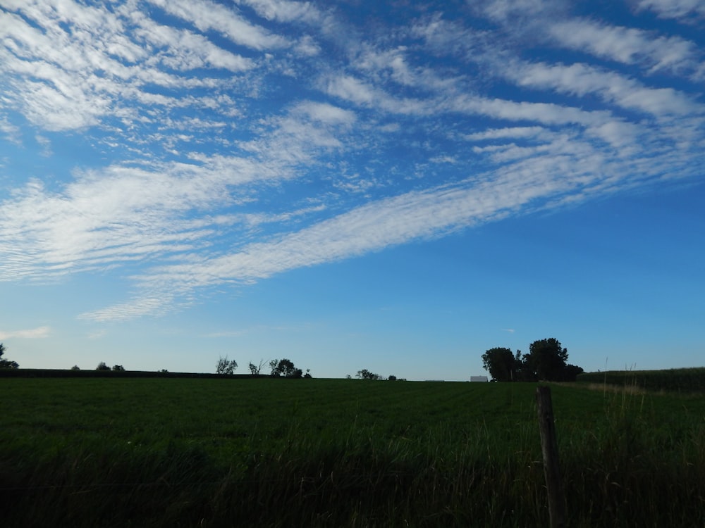 a grassy field with a fence in the foreground