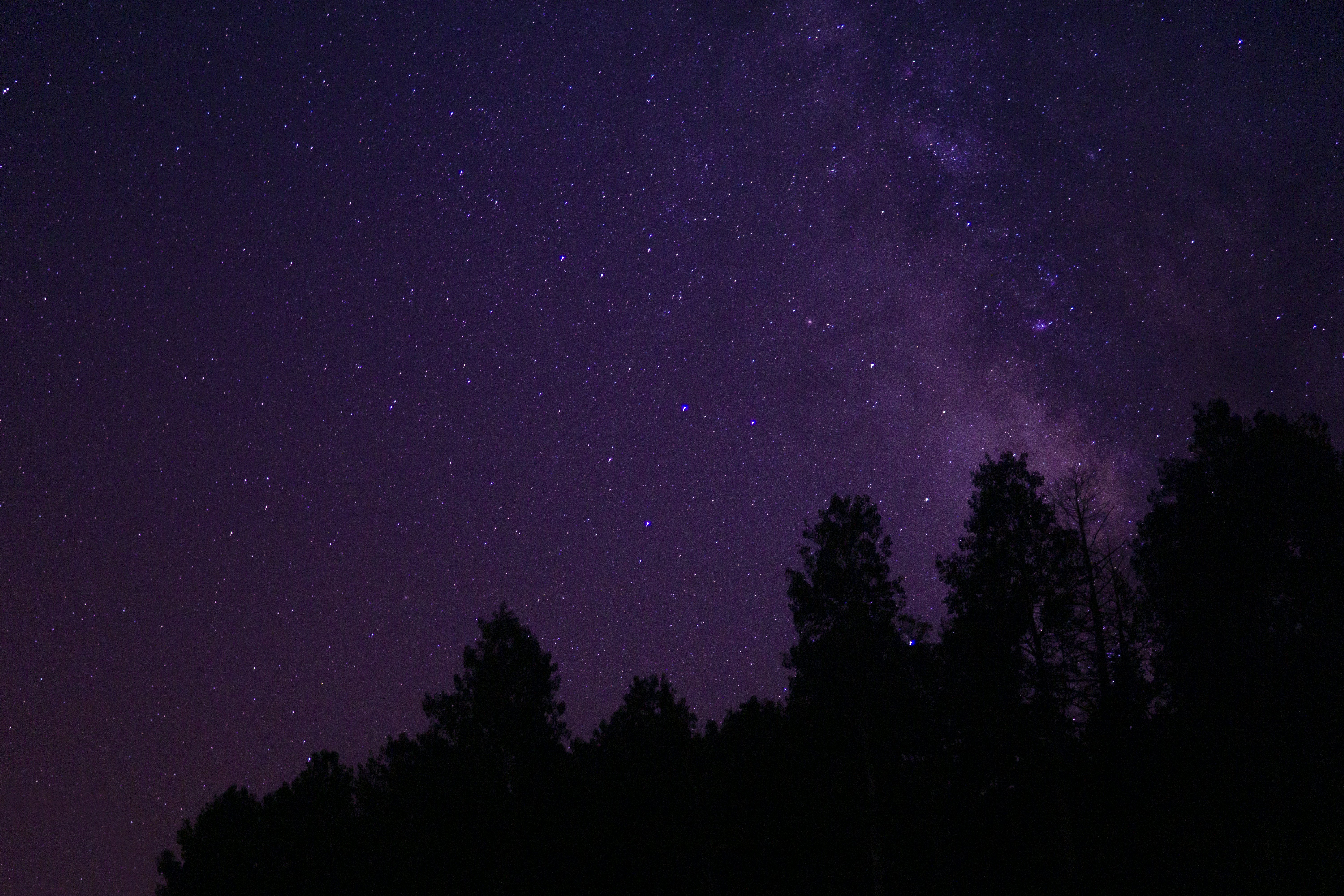 夢到鱷魚：潛藏危機的警訊，解夢指南助你避險