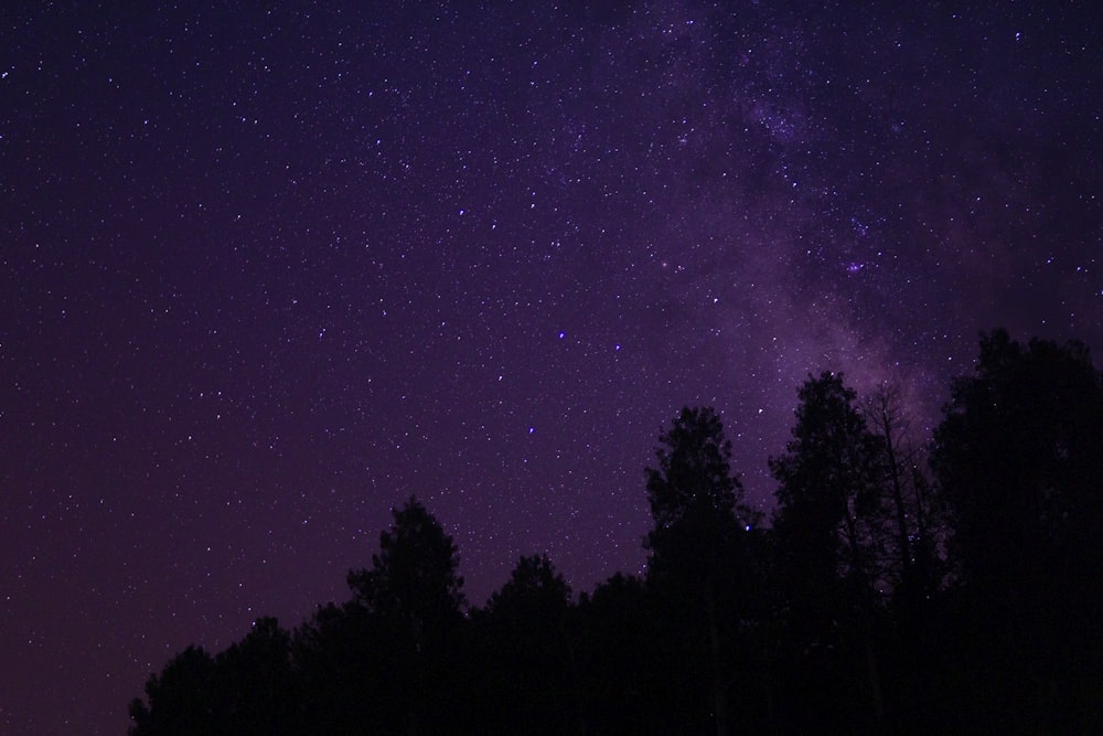 the night sky is filled with stars and trees