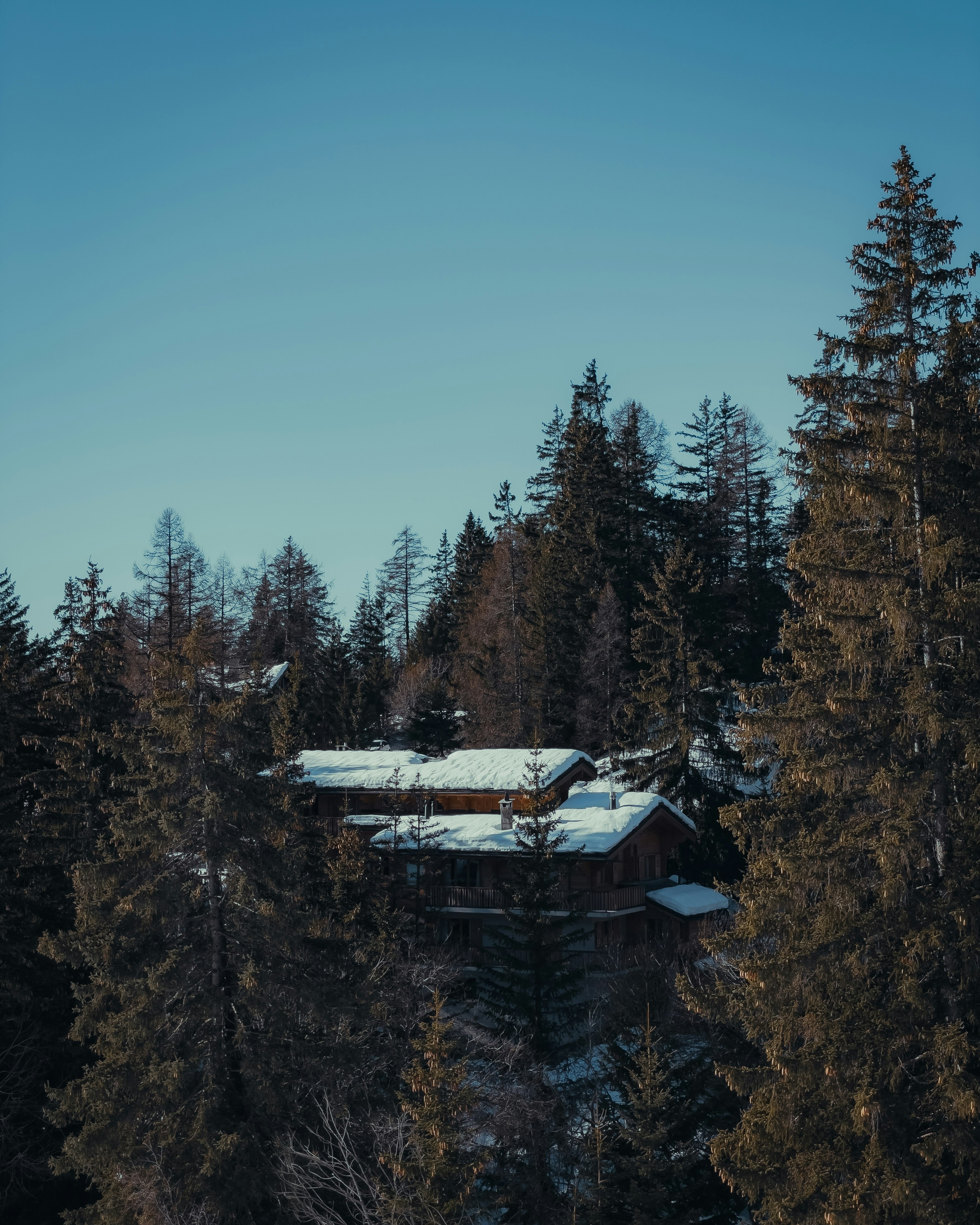 a man riding on top of a snow covered forest