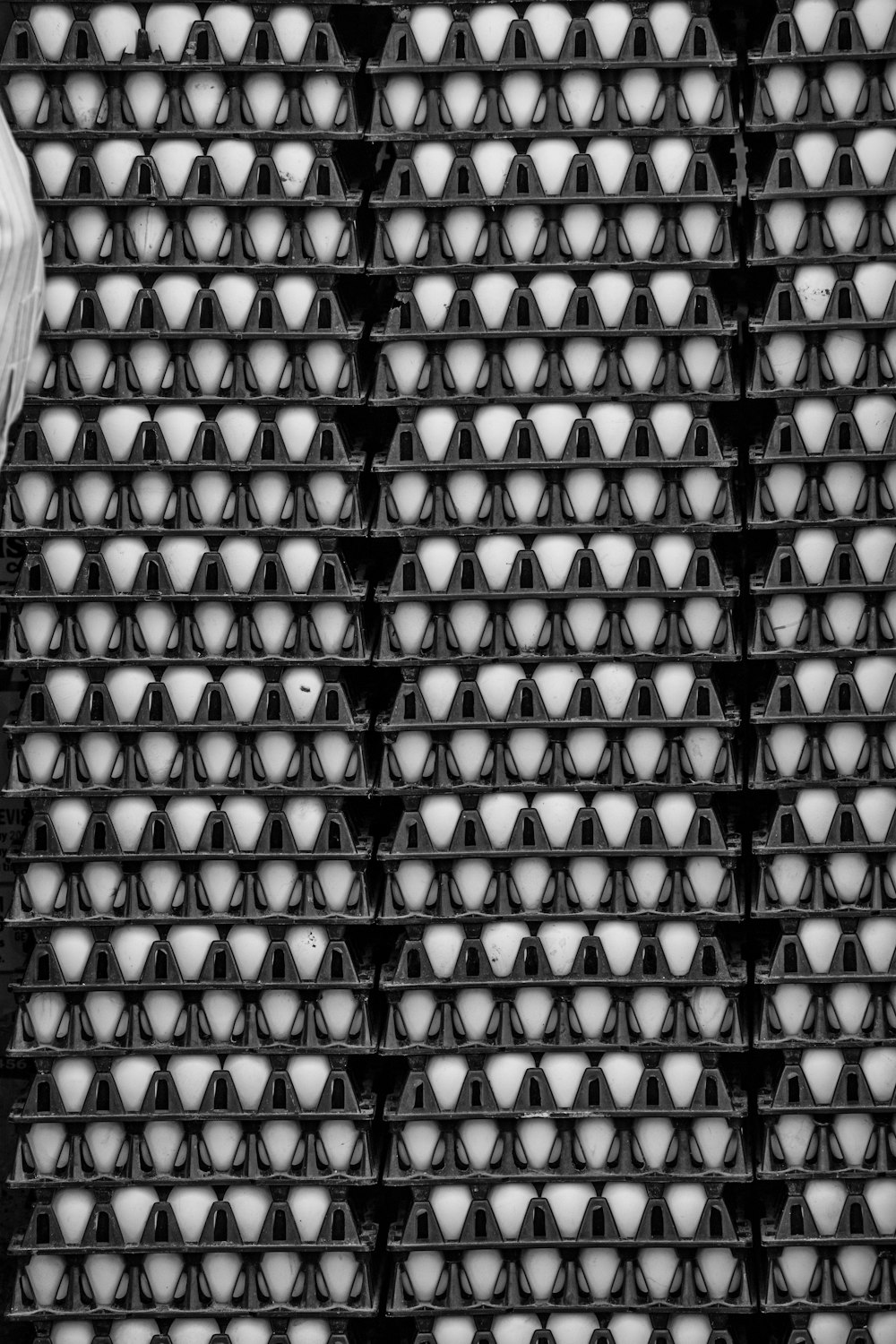 a black and white photo of a bird on a wire fence