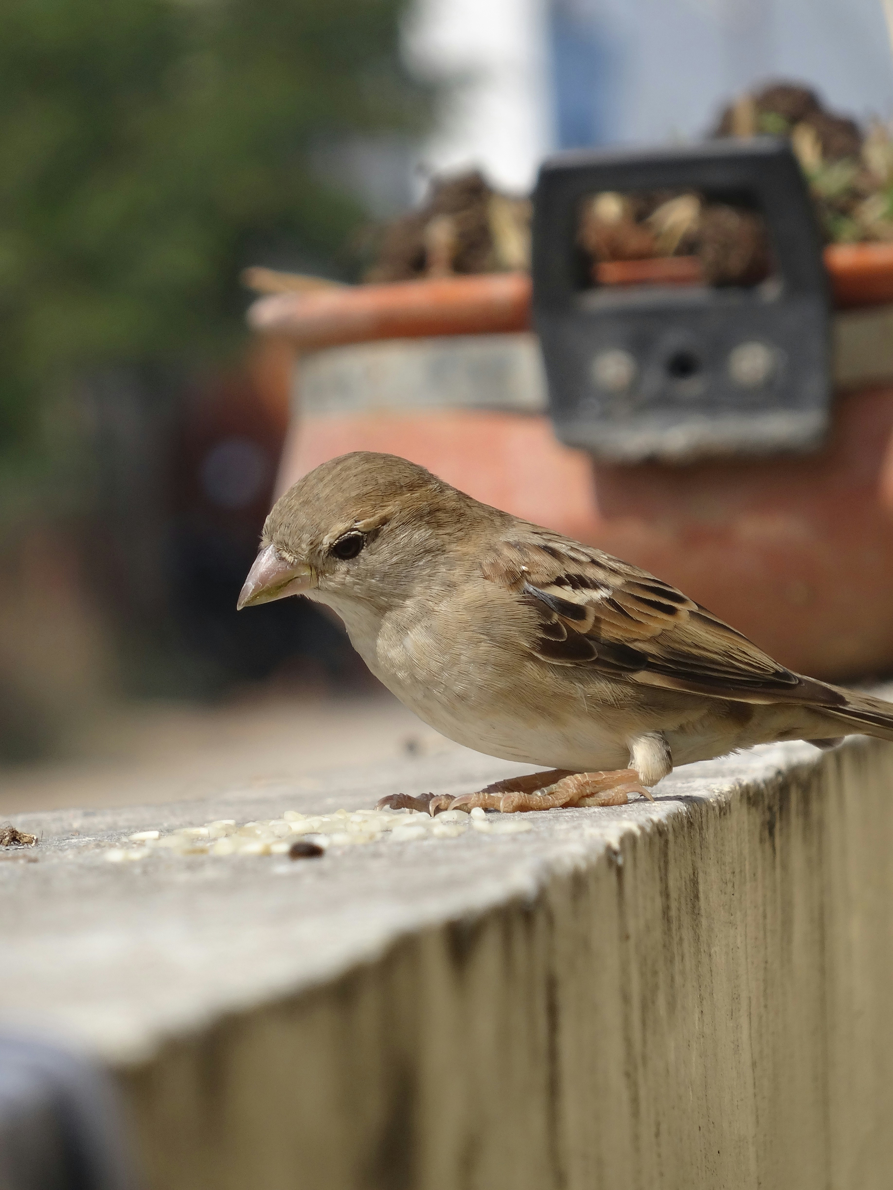 Photo by lucky_clicks