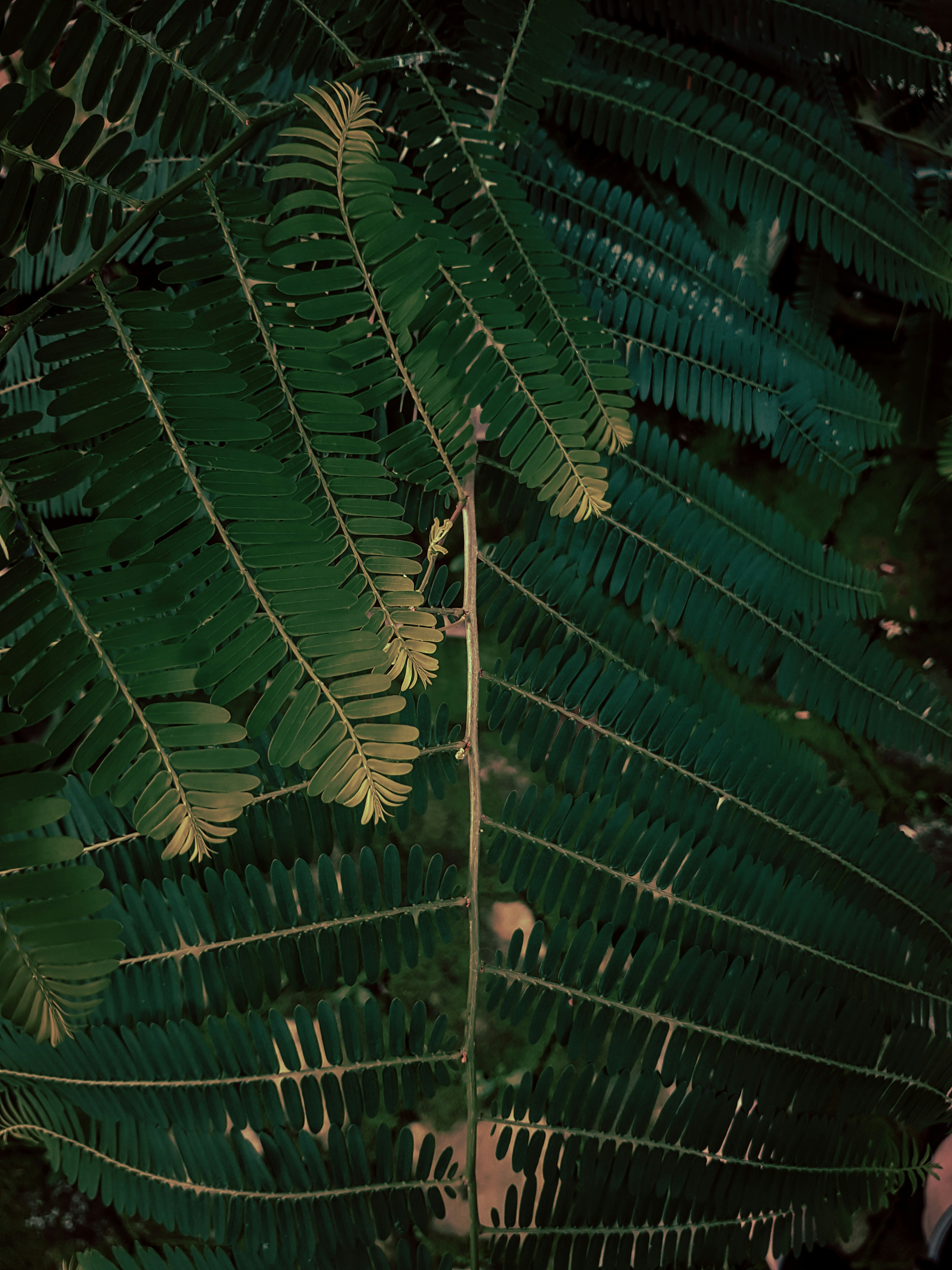 Photo by djiwanashalihya