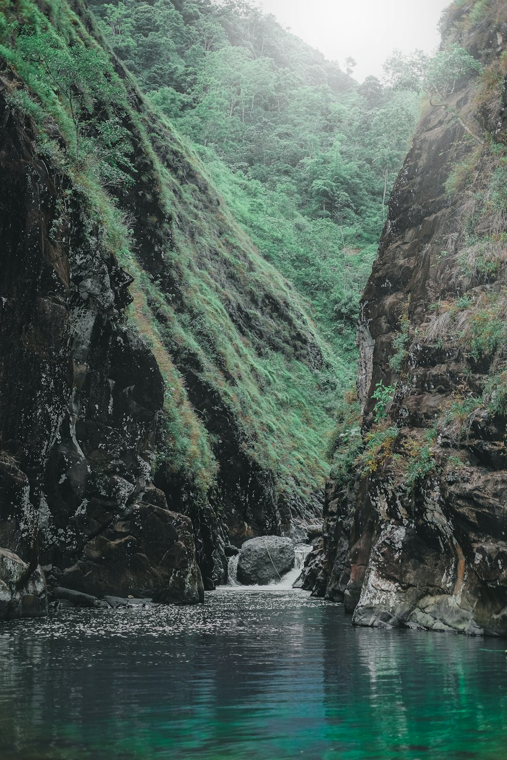 a body of water surrounded by a lush green hillside