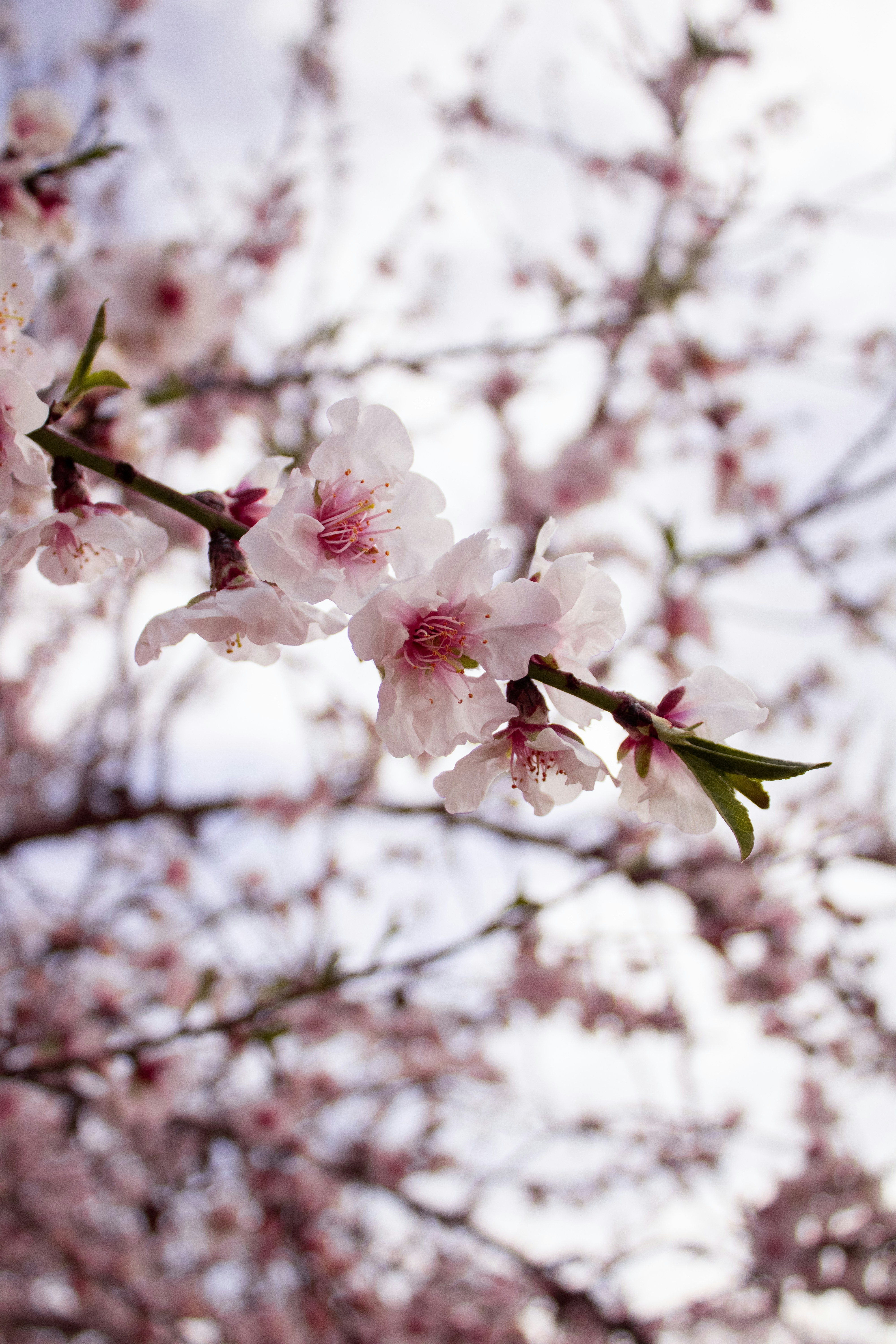 Photo by catarinaribeiro