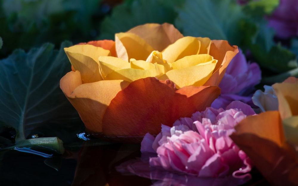 a bunch of flowers that are sitting on a table