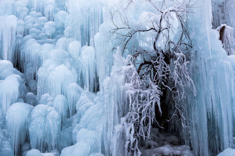 a tree is surrounded by ice and frozen water