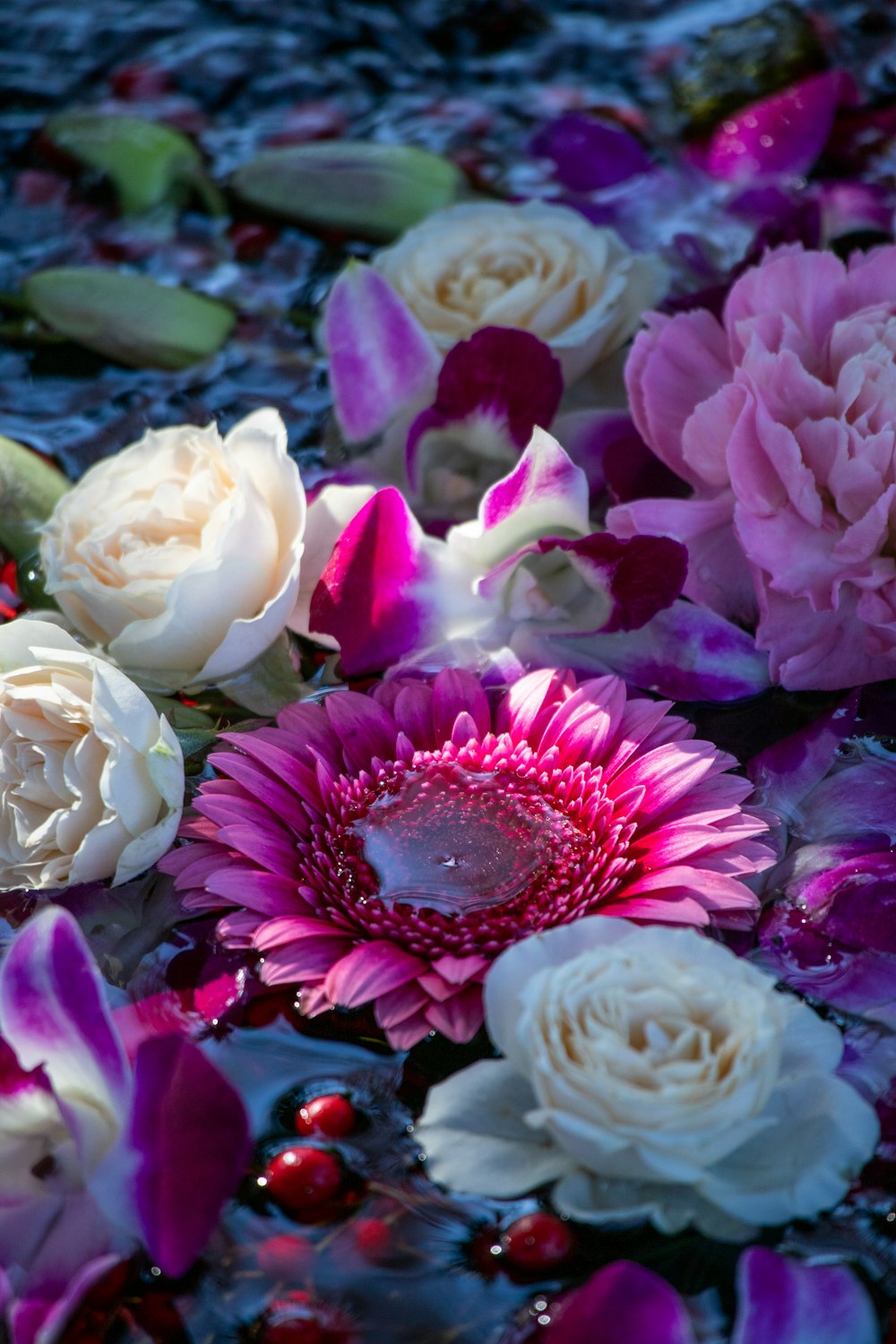 a bunch of flowers floating on top of a body of water