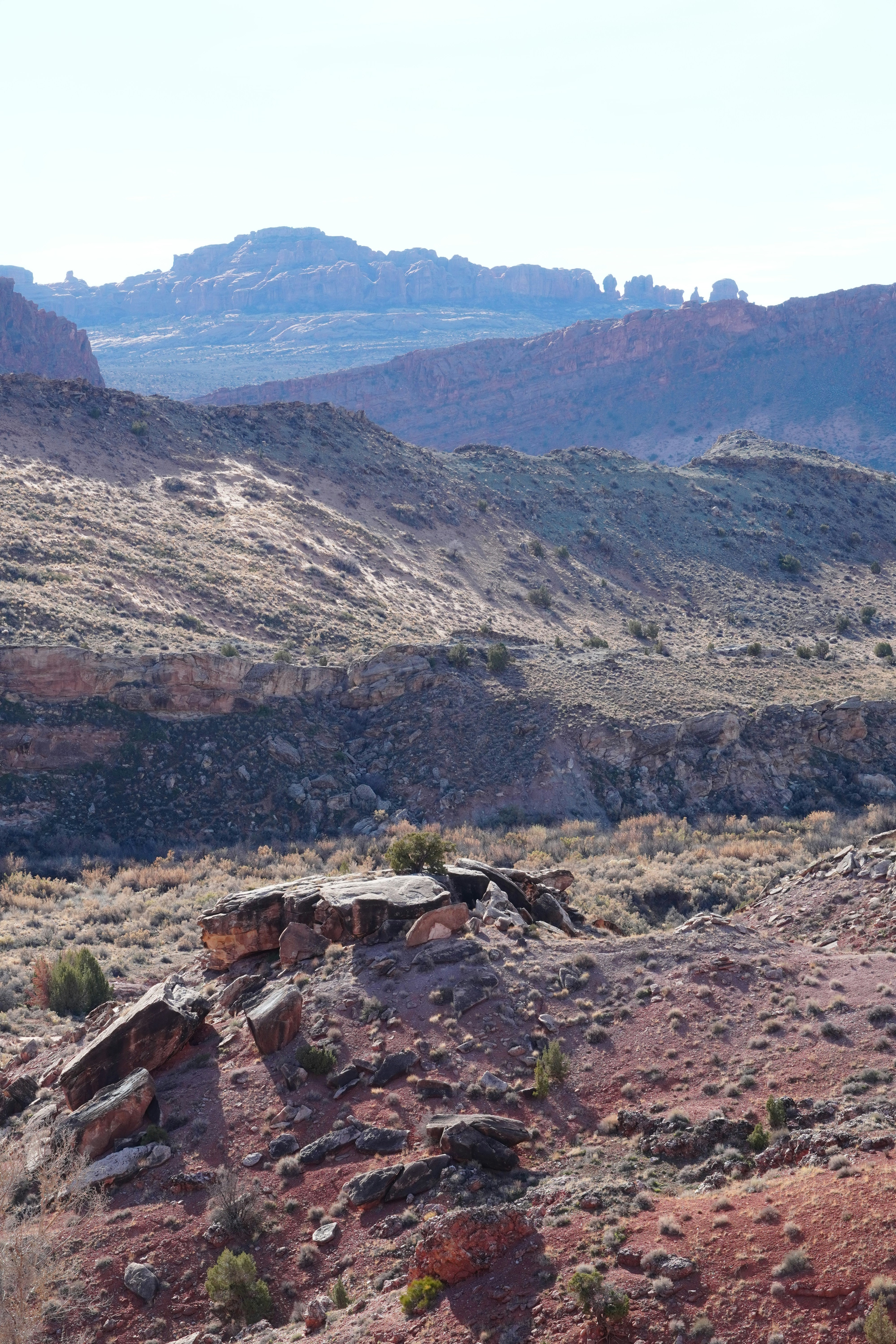 Photo by calecrunchy