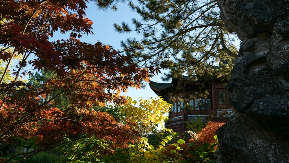 a view of a building through some trees