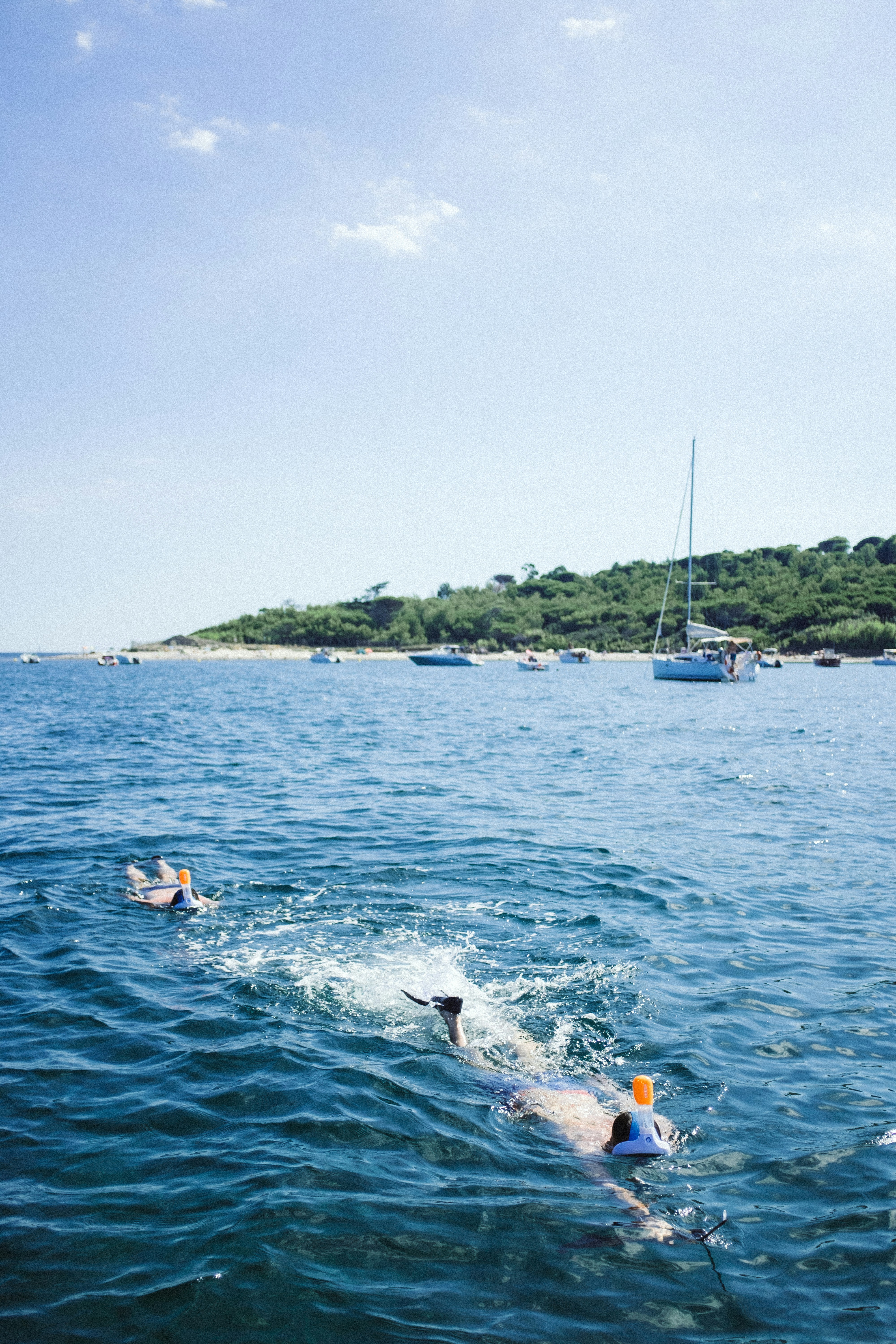 Livingstone Island Swim photo 2