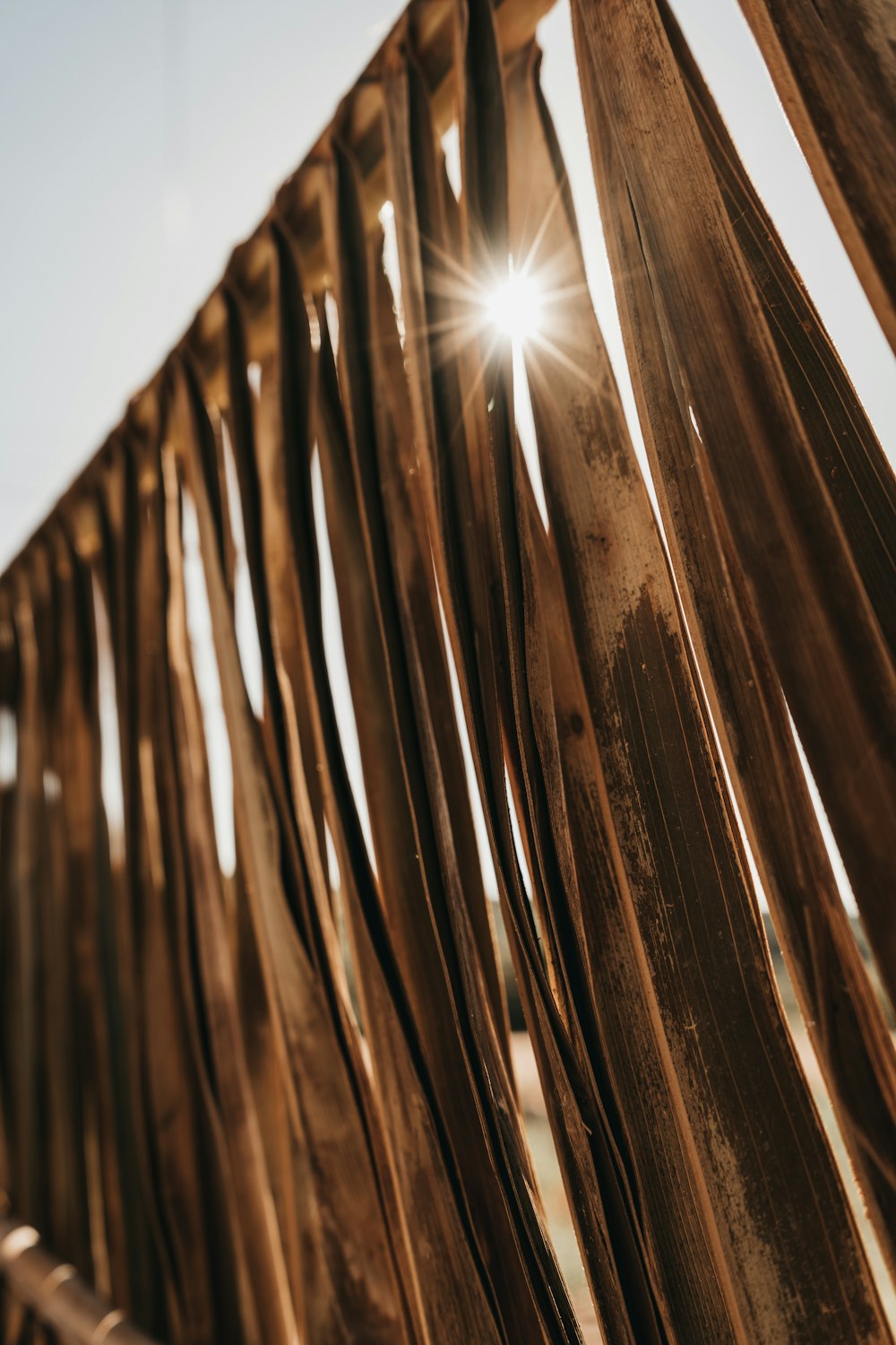 a close up of a wooden fence with the sun shining