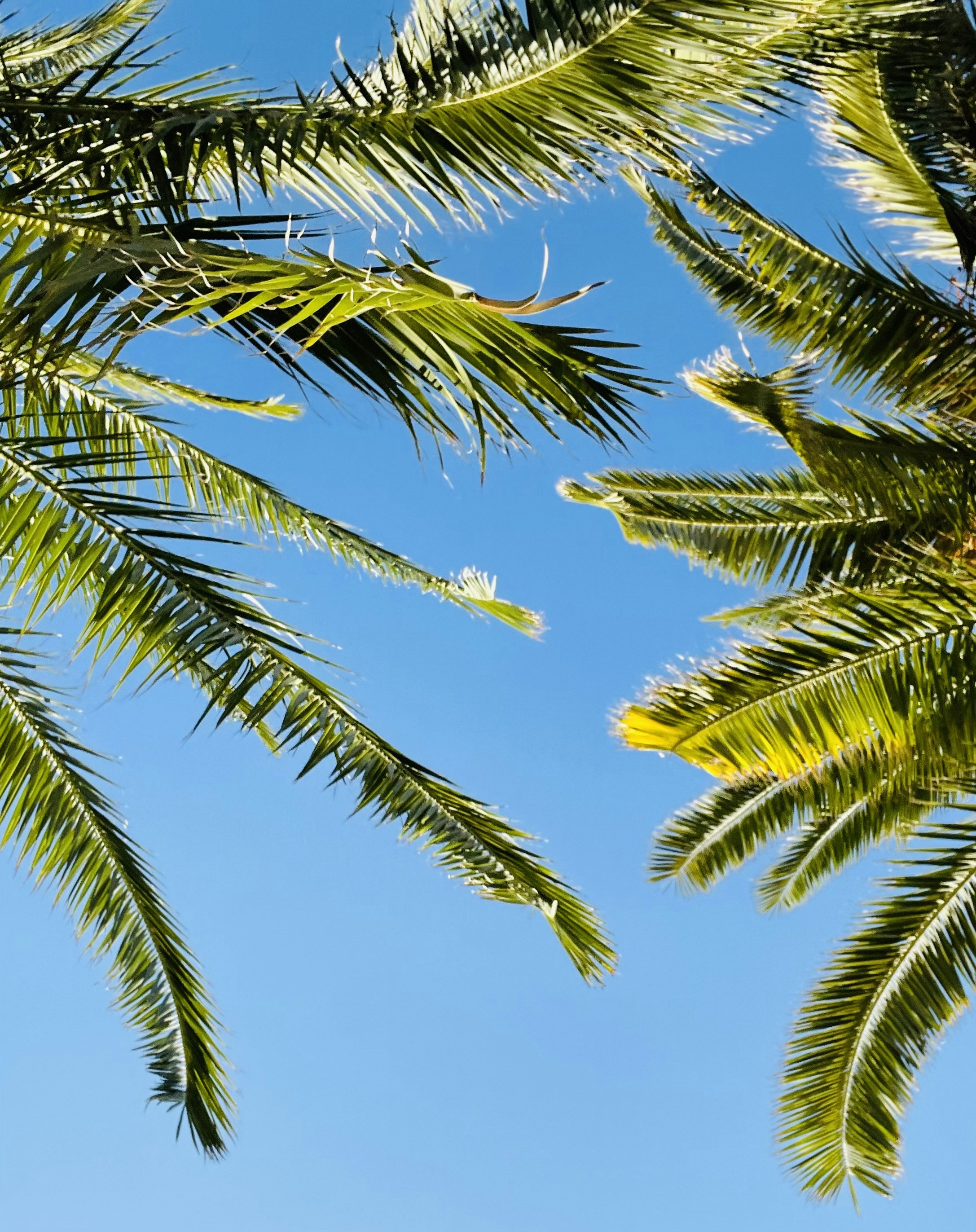 Photo by galifianakis