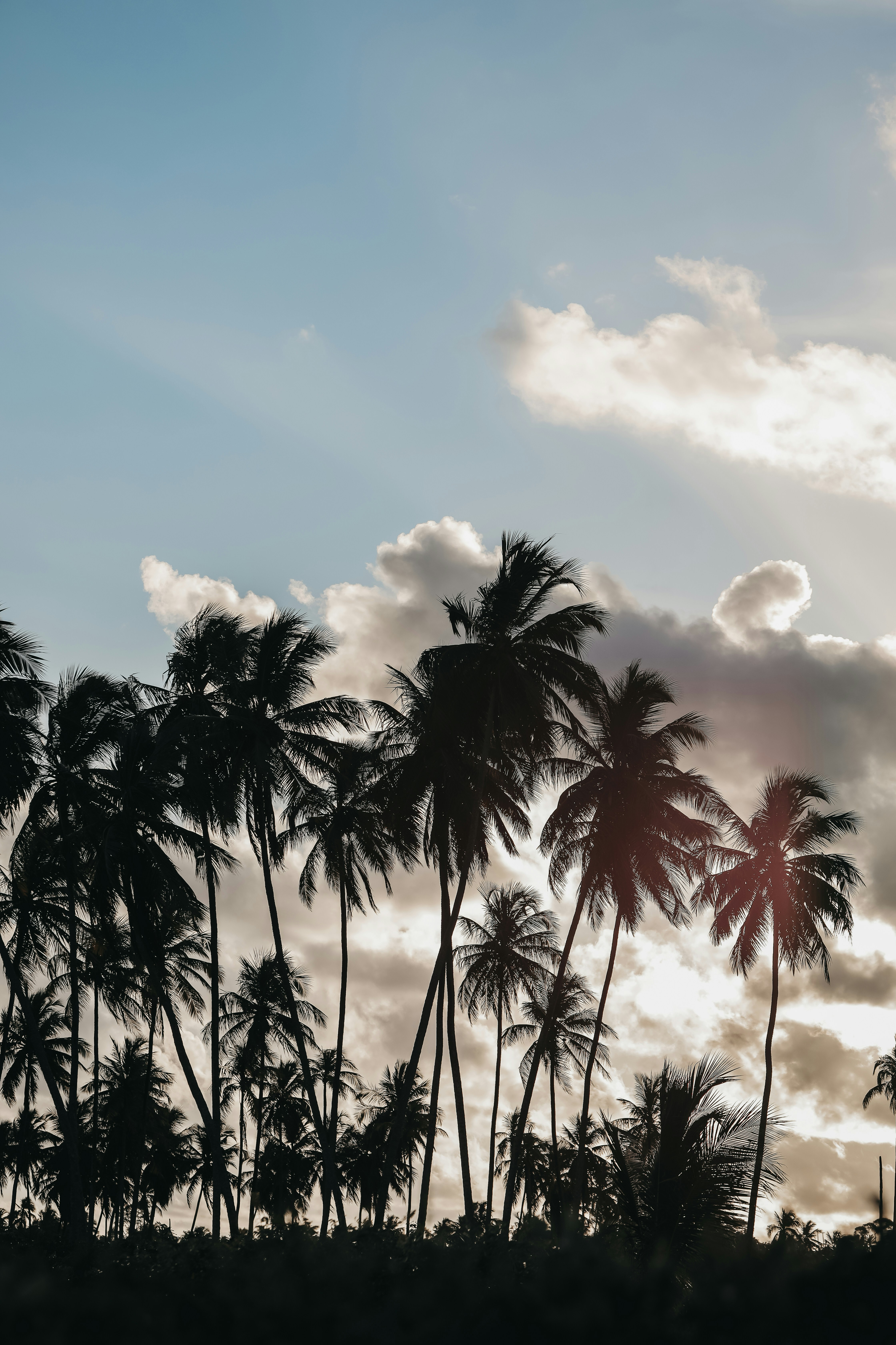 Photo by jefersonsantu