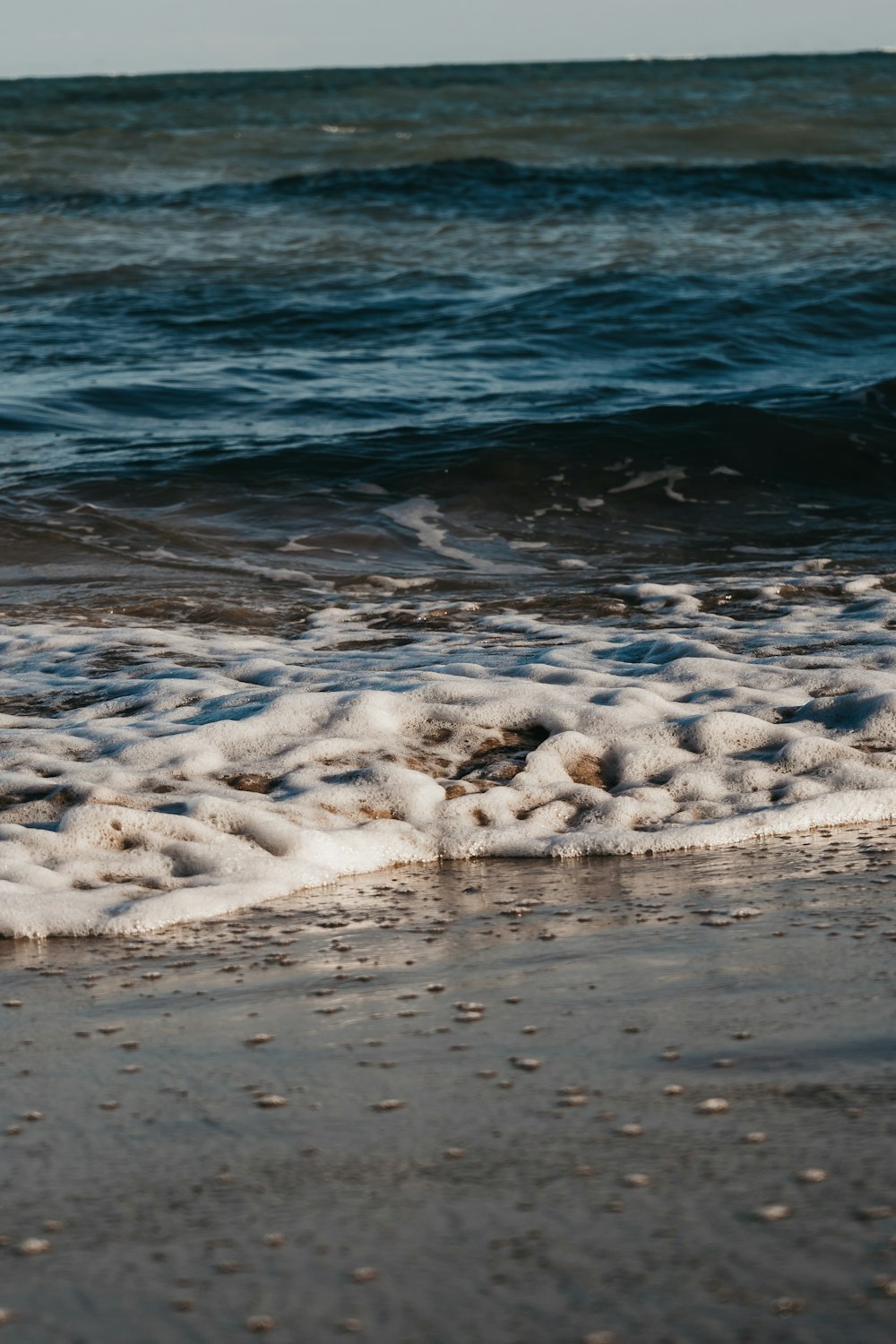 a bird standing on top of a sandy beach next to the ocean