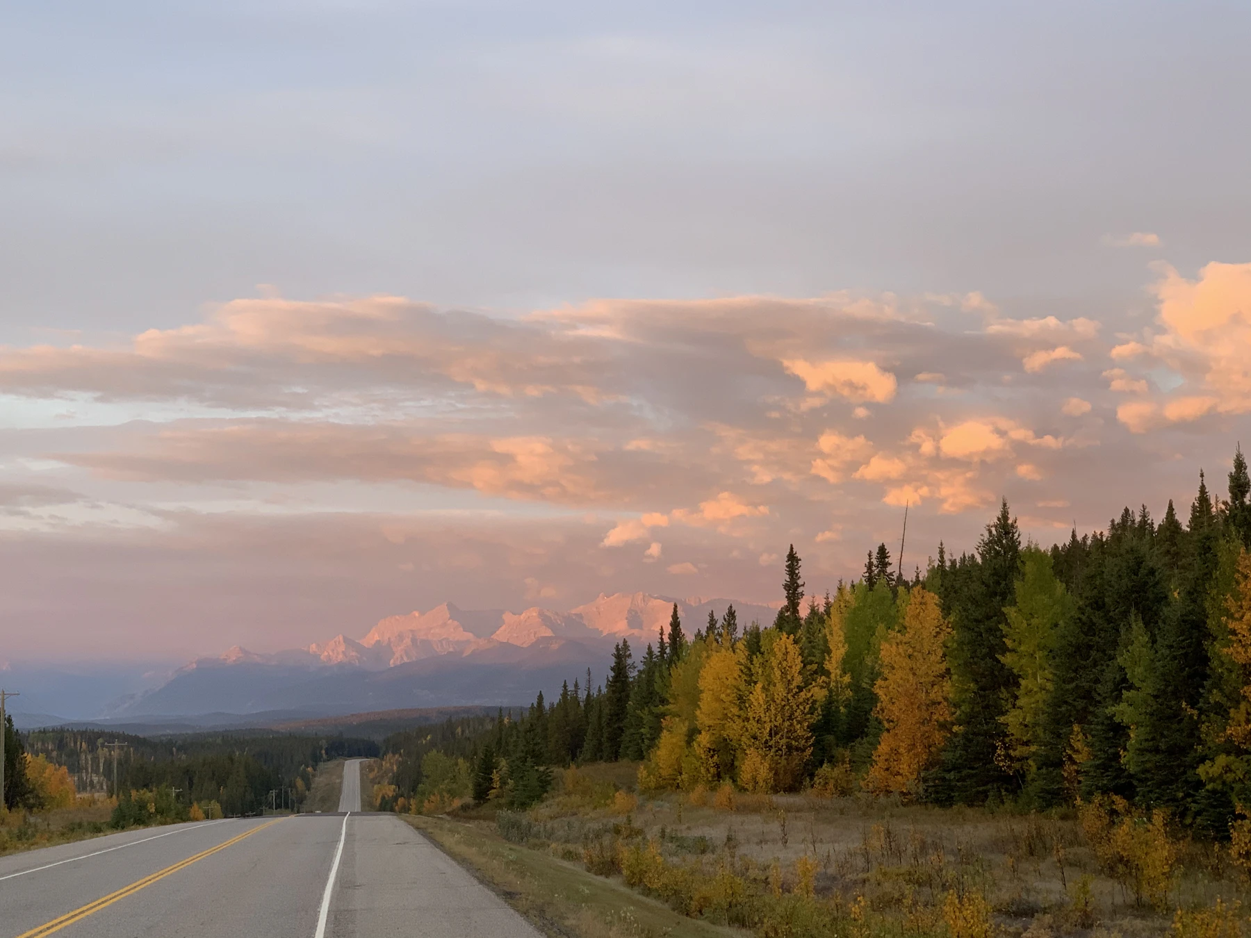 An empty highway through autumn aspens and spruce under a pink sunset sky