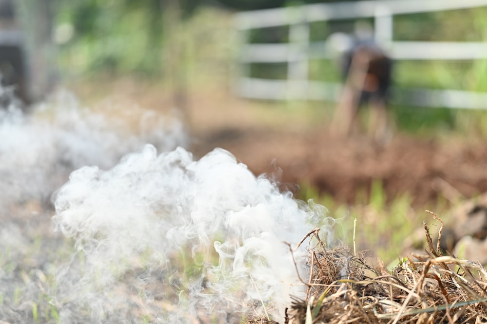 smoke coming out of a field next to a fence