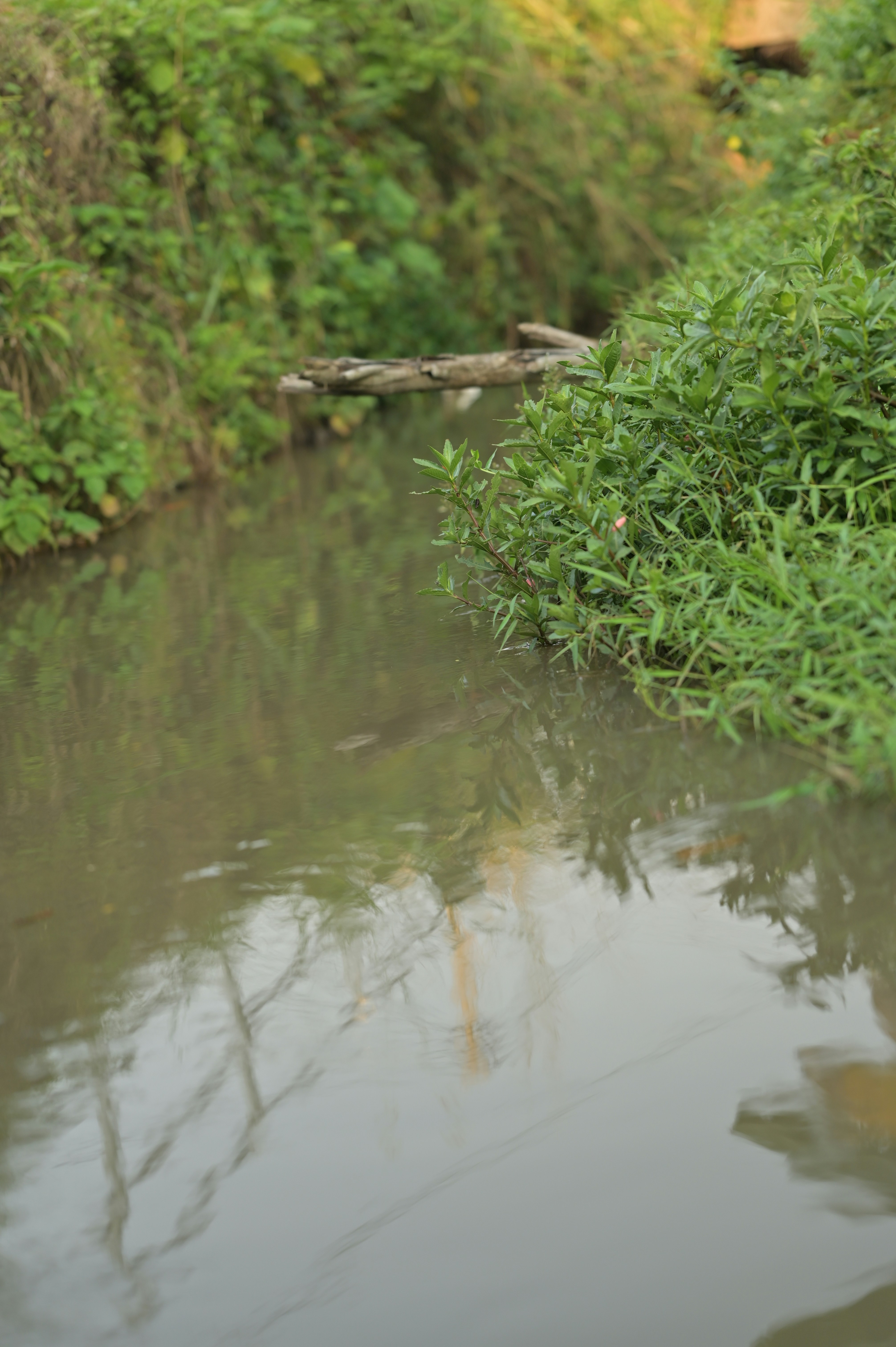 Photo by ochimaxstudio