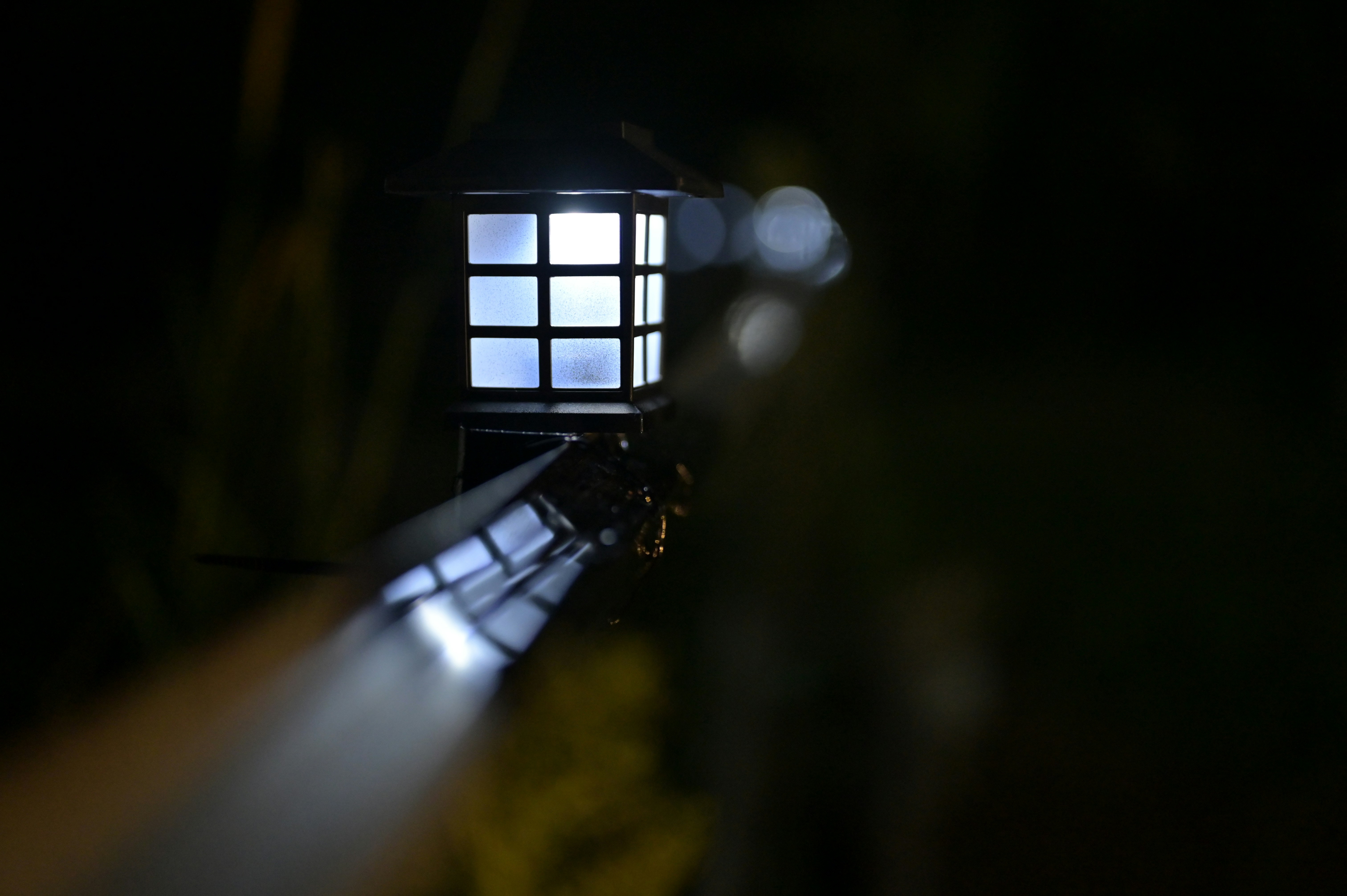 Photo by ochimaxstudio