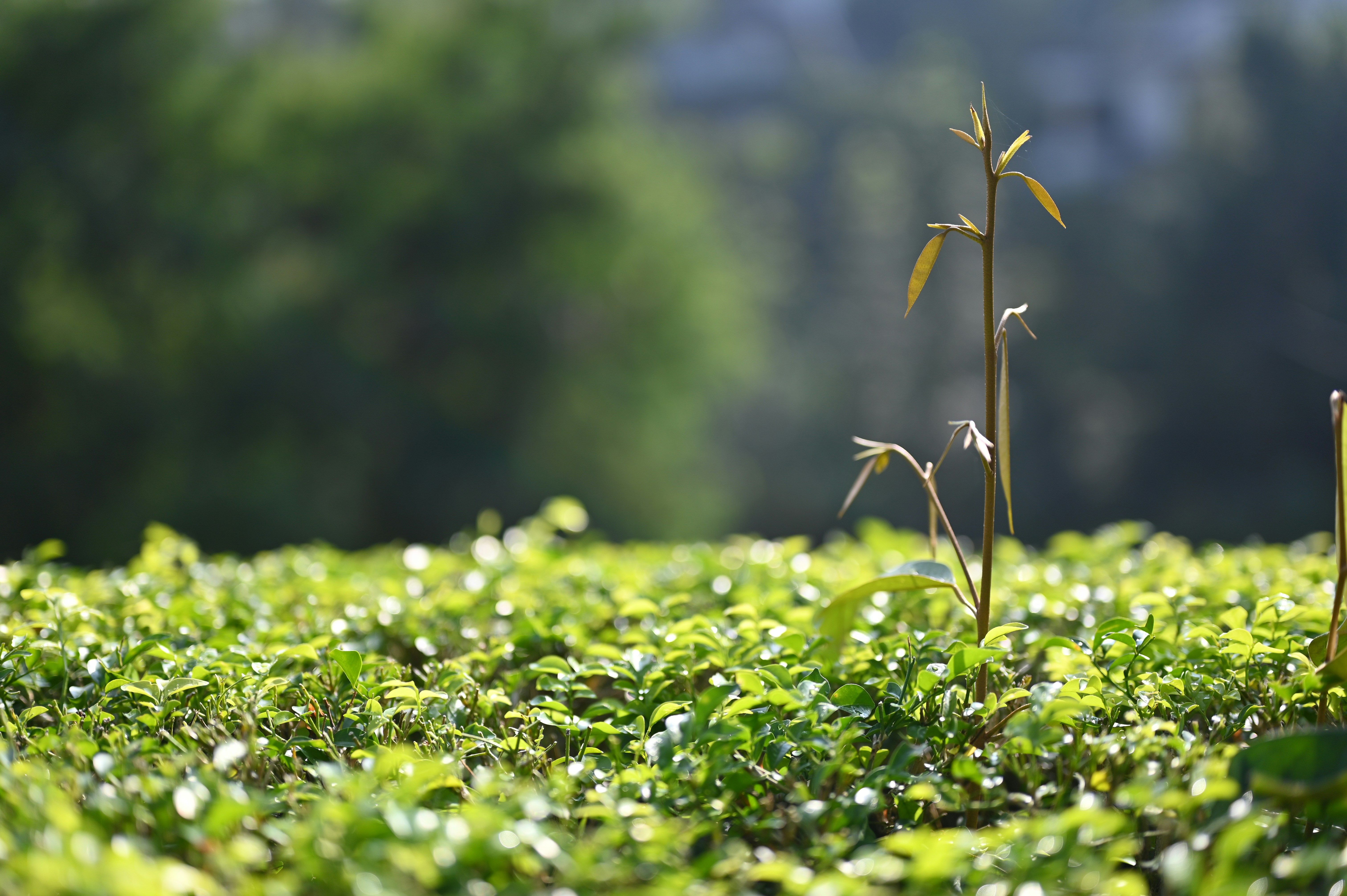 Photo by ochimaxstudio