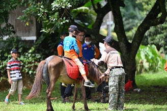 a group of people standing around a brown horse