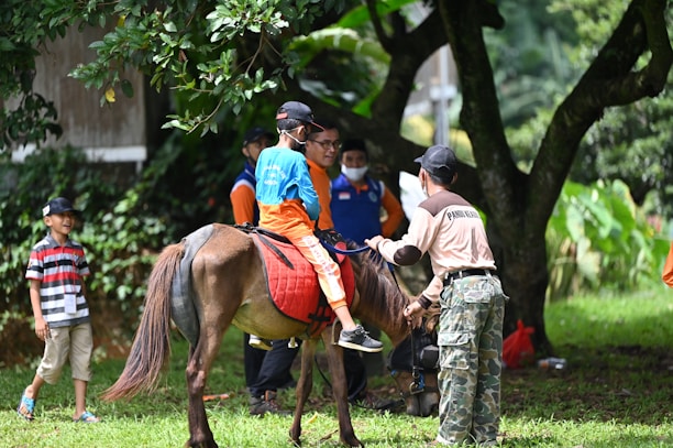 a group of people standing around a brown horse
