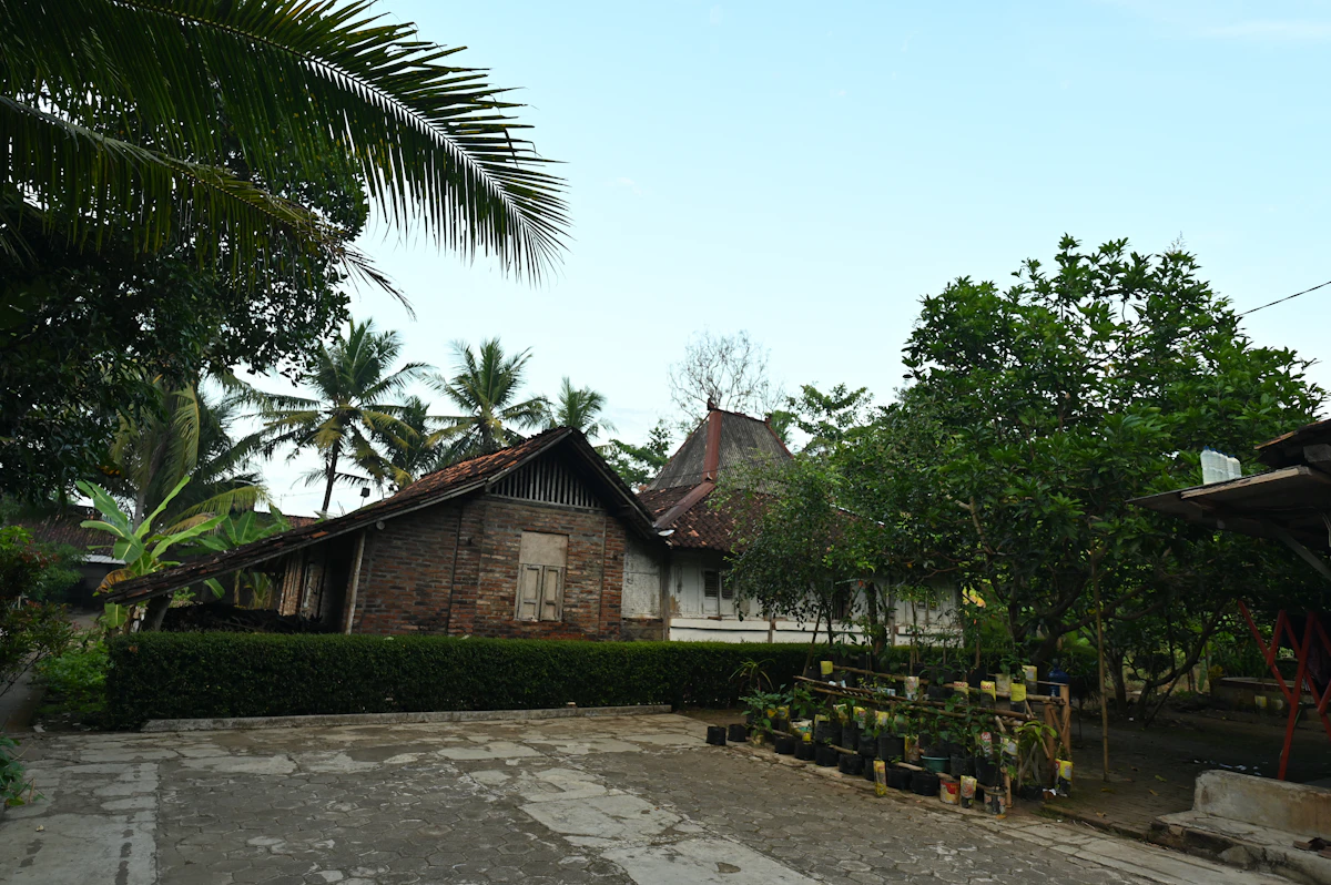 Rumah tradisional Jawa yang dikelilingi pepohonan