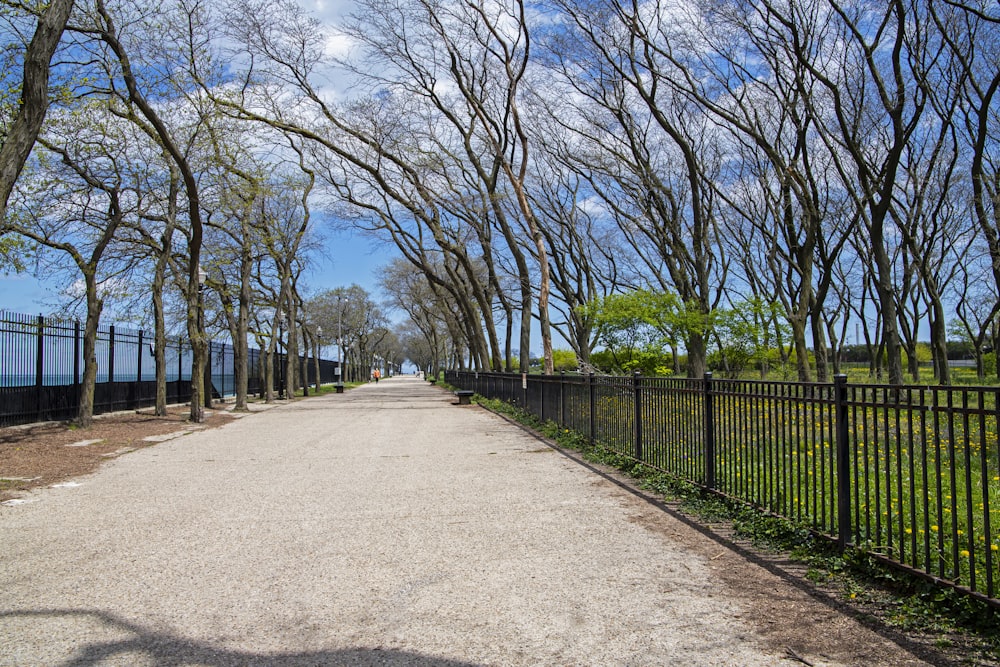 una strada con una recinzione e alberi su entrambi i lati