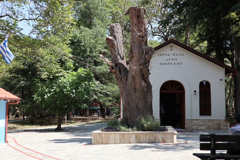 a man sitting on a bench in front of a tree