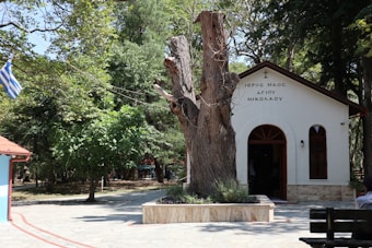A small, white chapel nestled among lush green trees, with a prominent tree trunk in front. The chapel has a brown, arched doorway and windows, and the Greek flag is displayed nearby. A paved area surrounds the building.