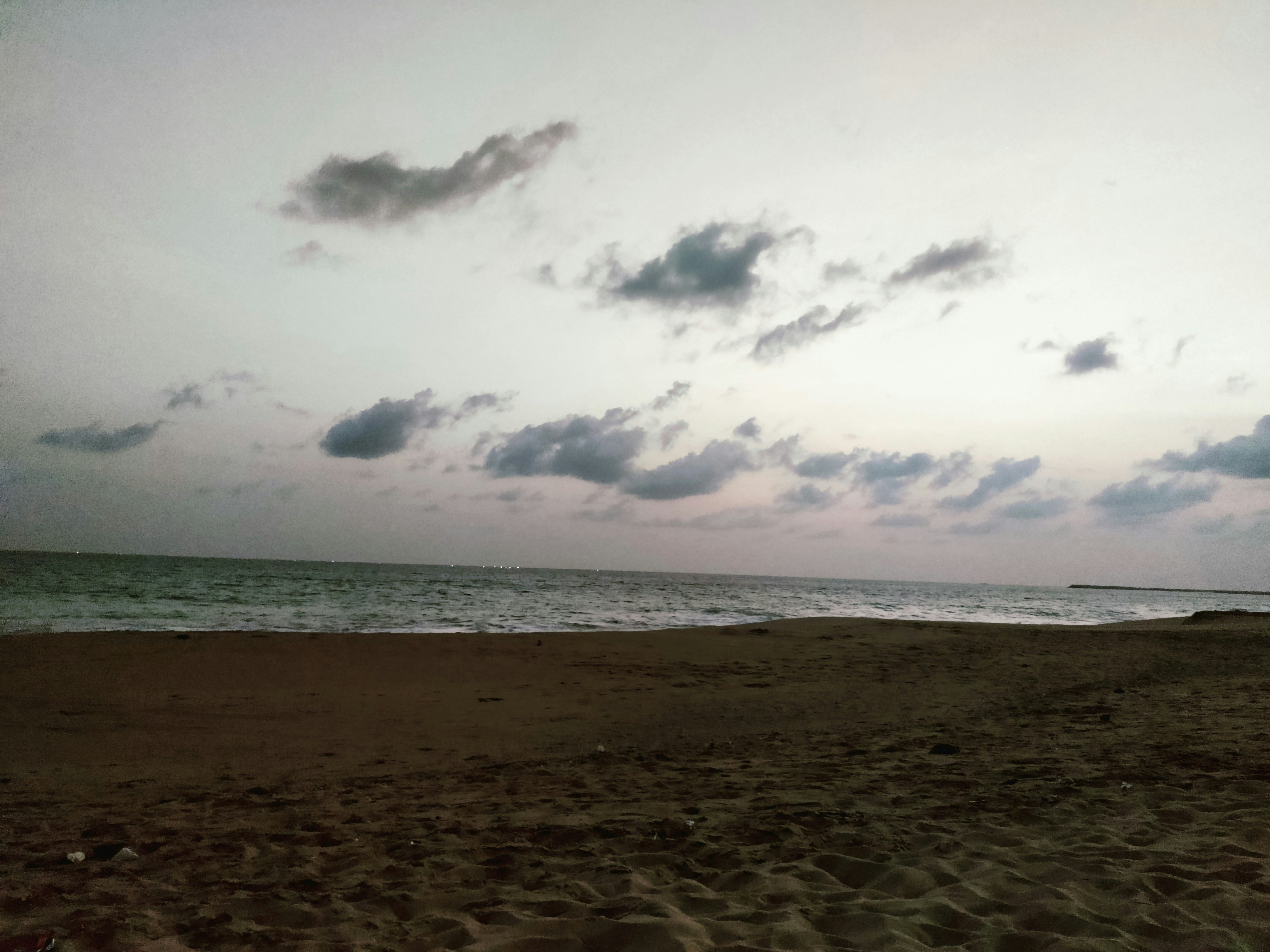 Photo by praveena_raj