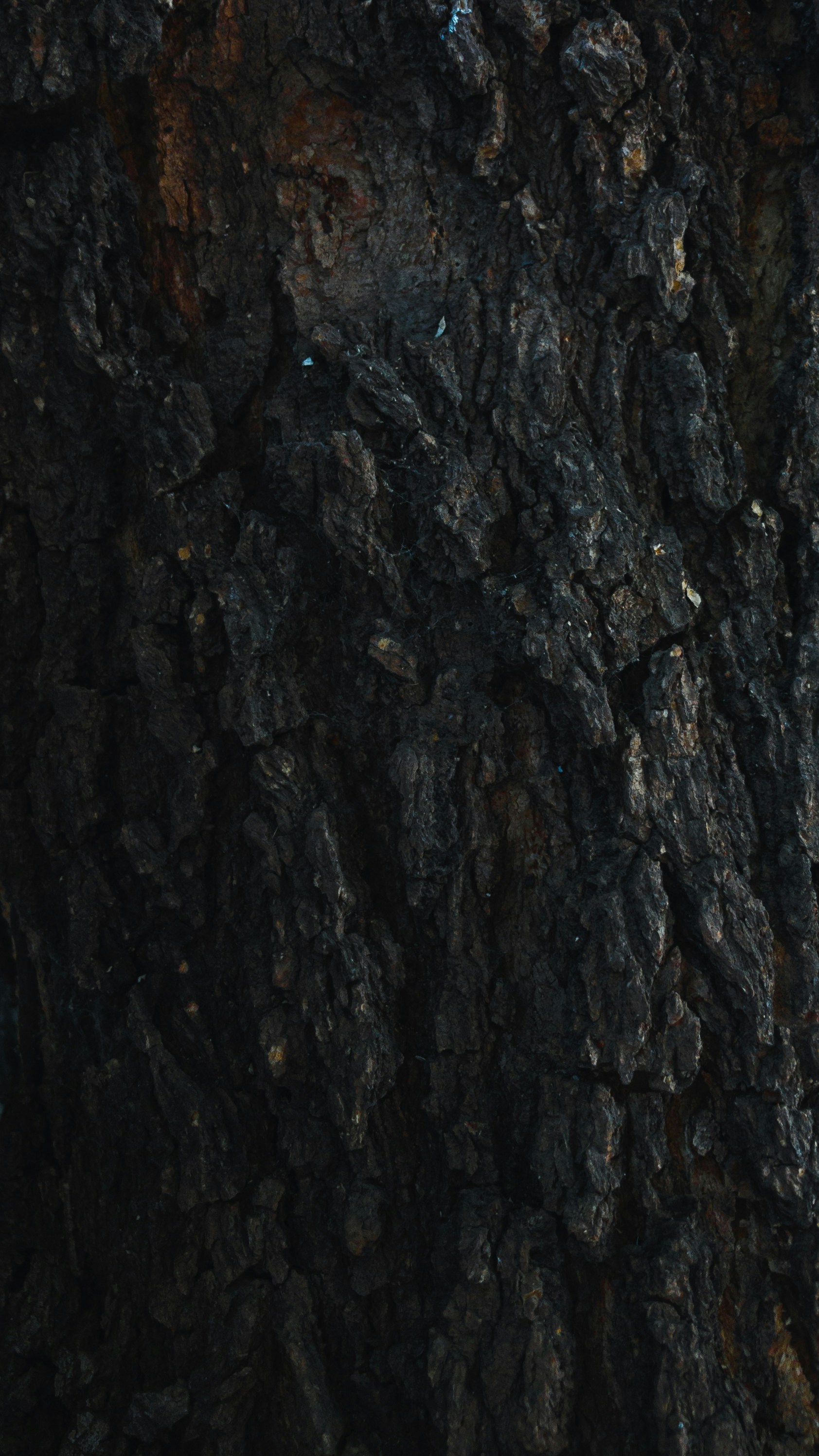 Photo by amritanshdubey