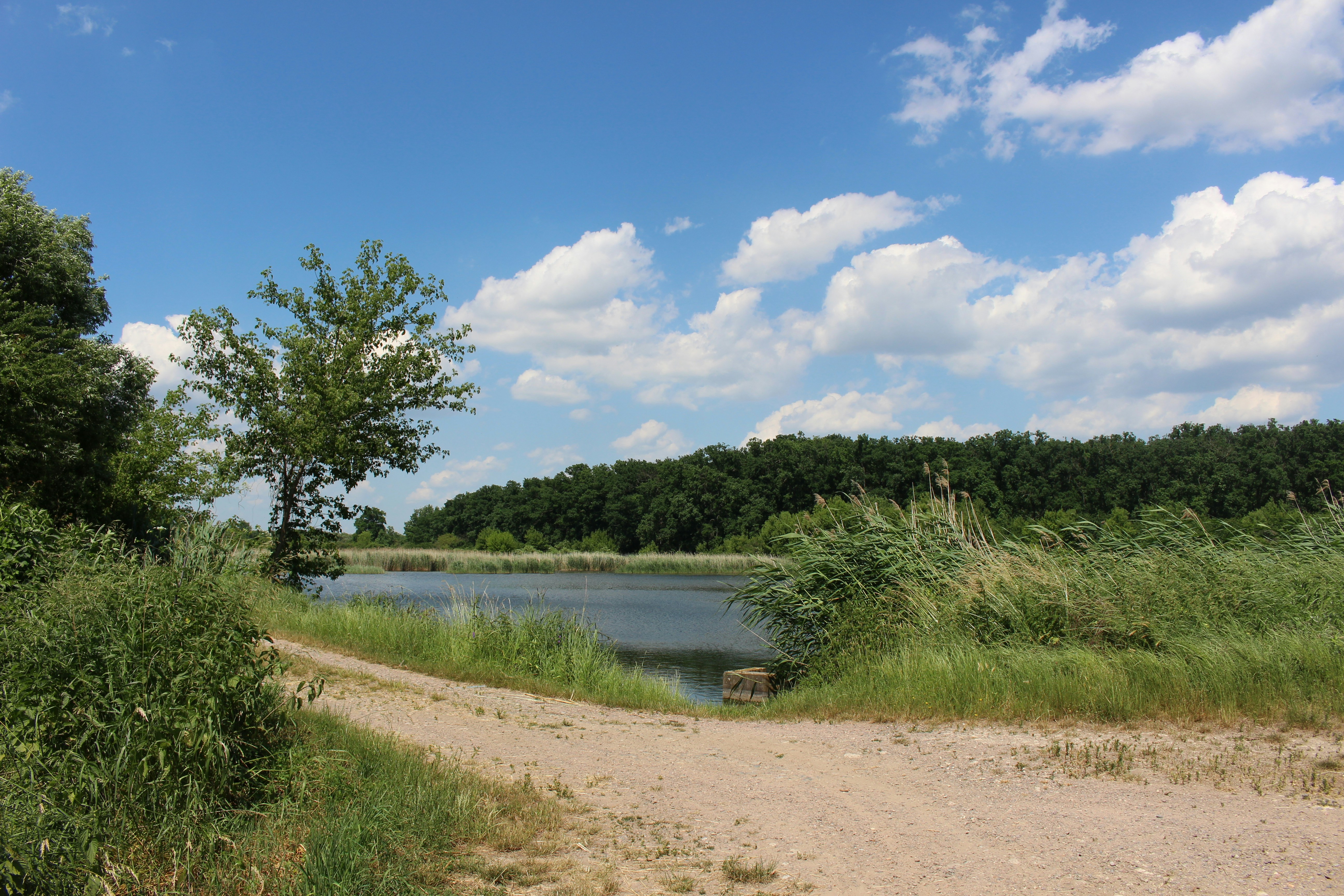 Photo by marjorylucabaxter