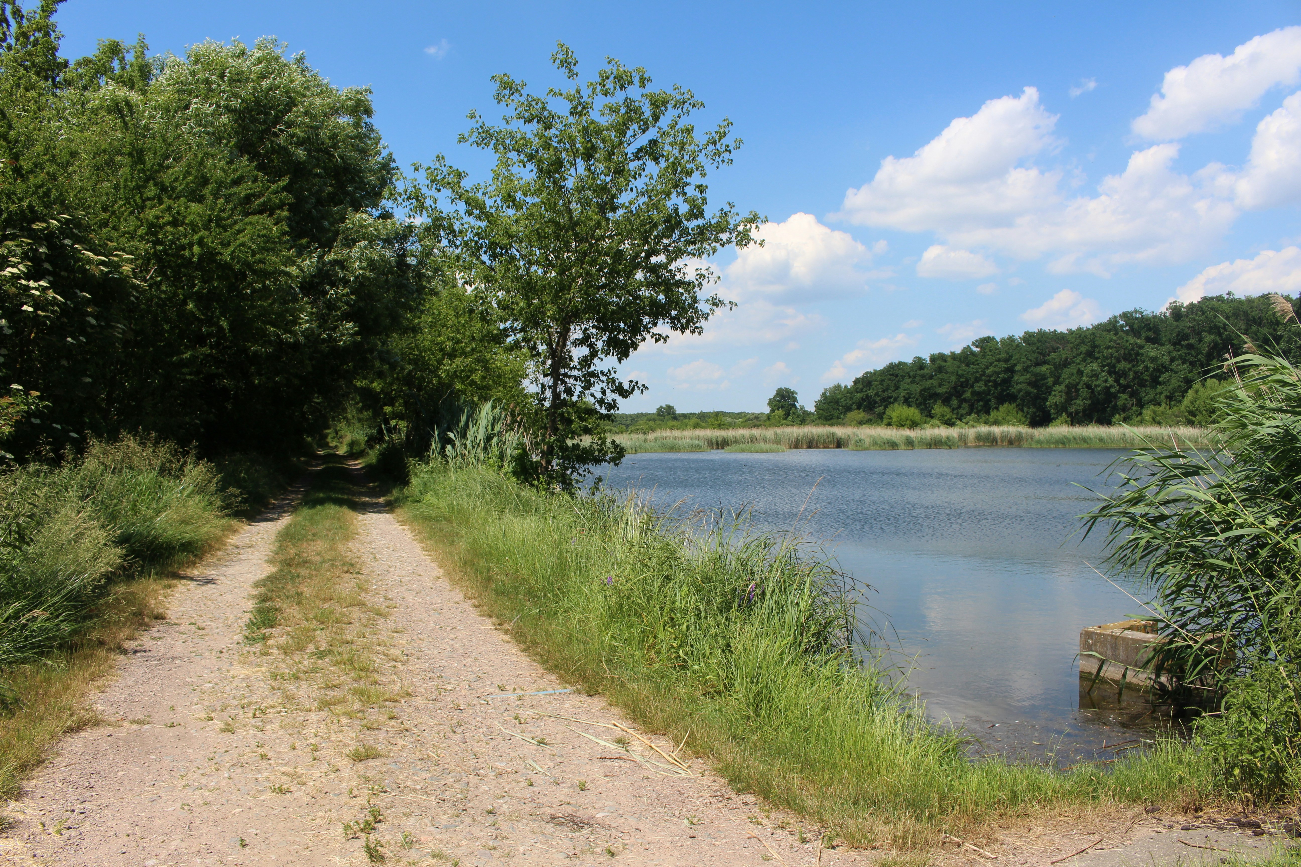 Photo by marjorylucabaxter