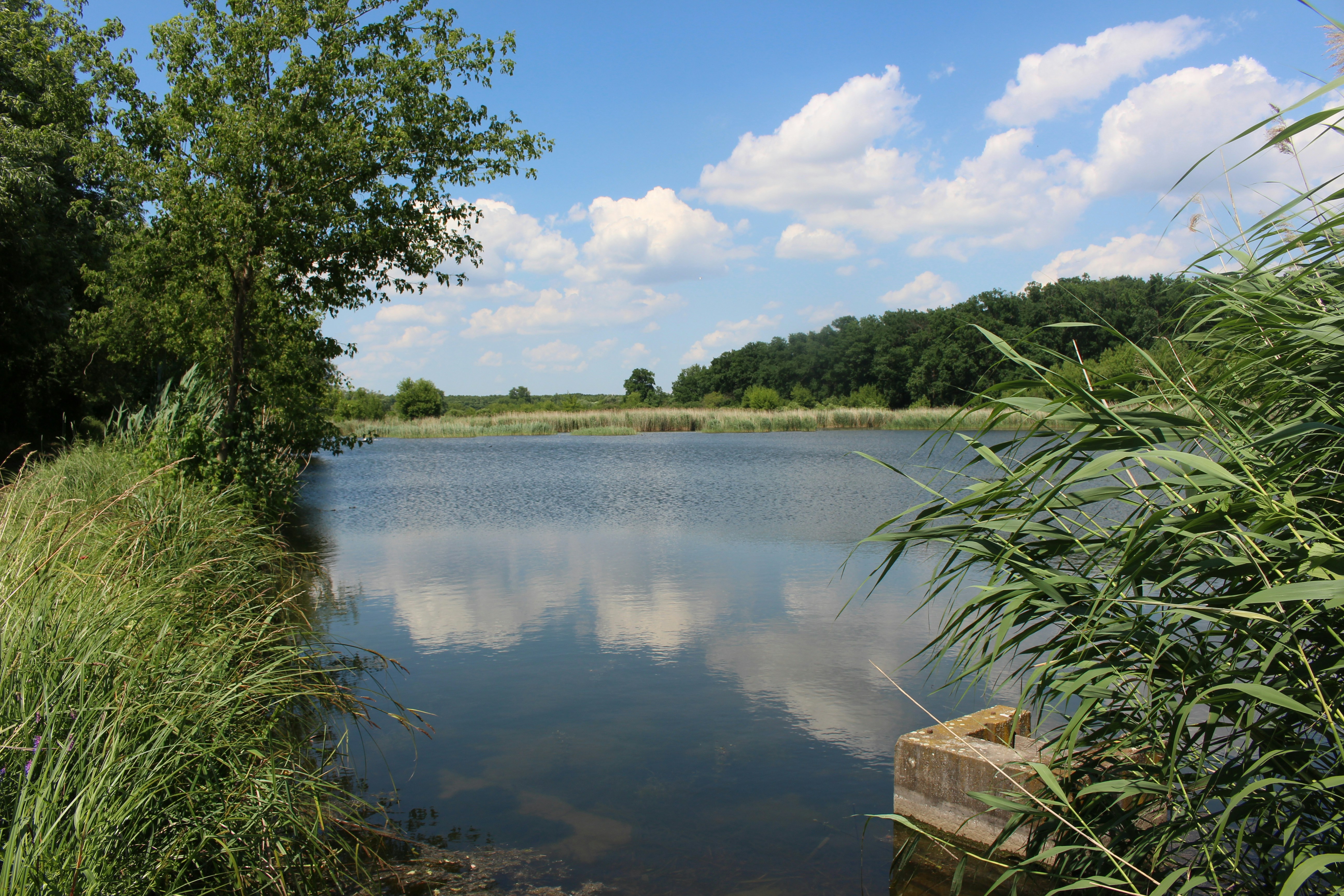 Photo by marjorylucabaxter