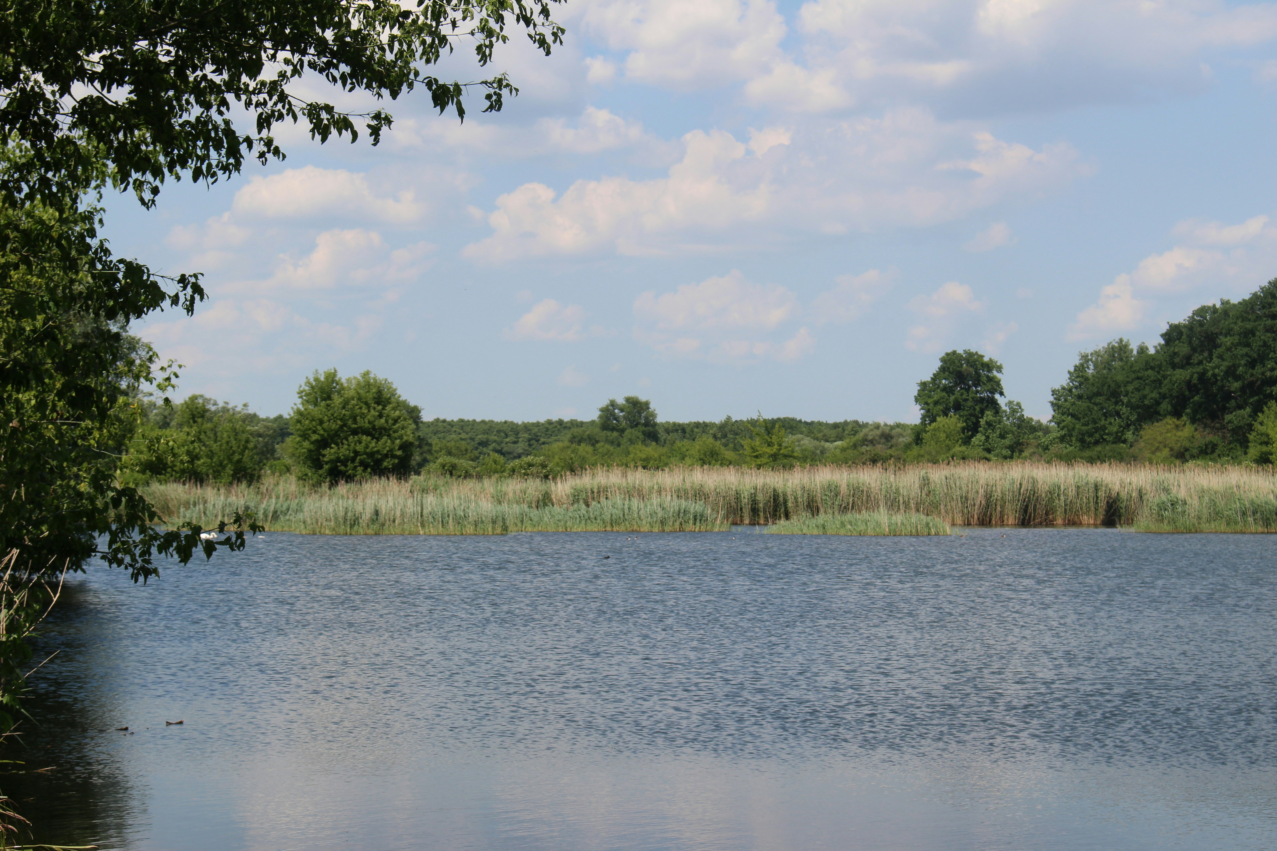 Photo by marjorylucabaxter