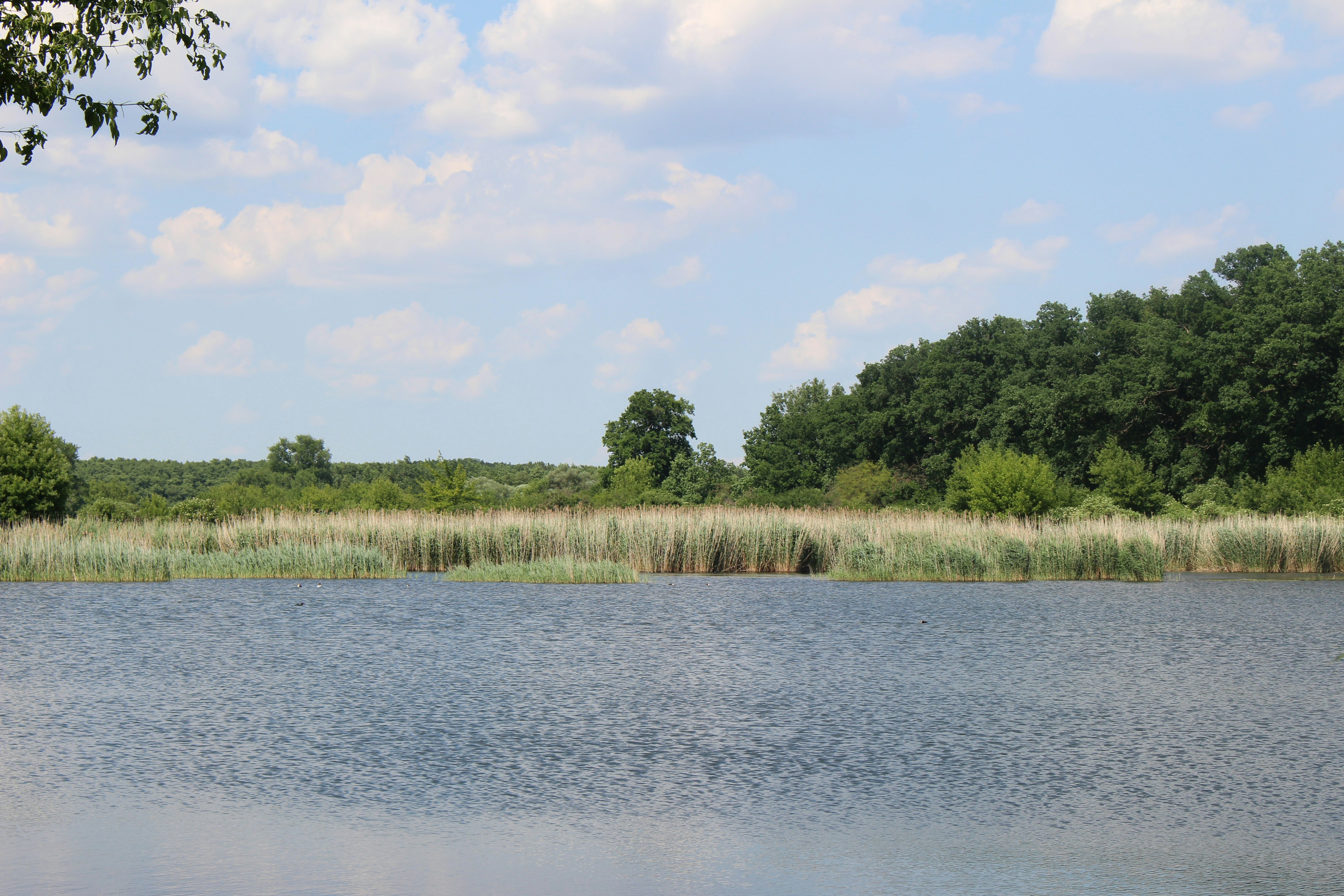 Photo by marjorylucabaxter