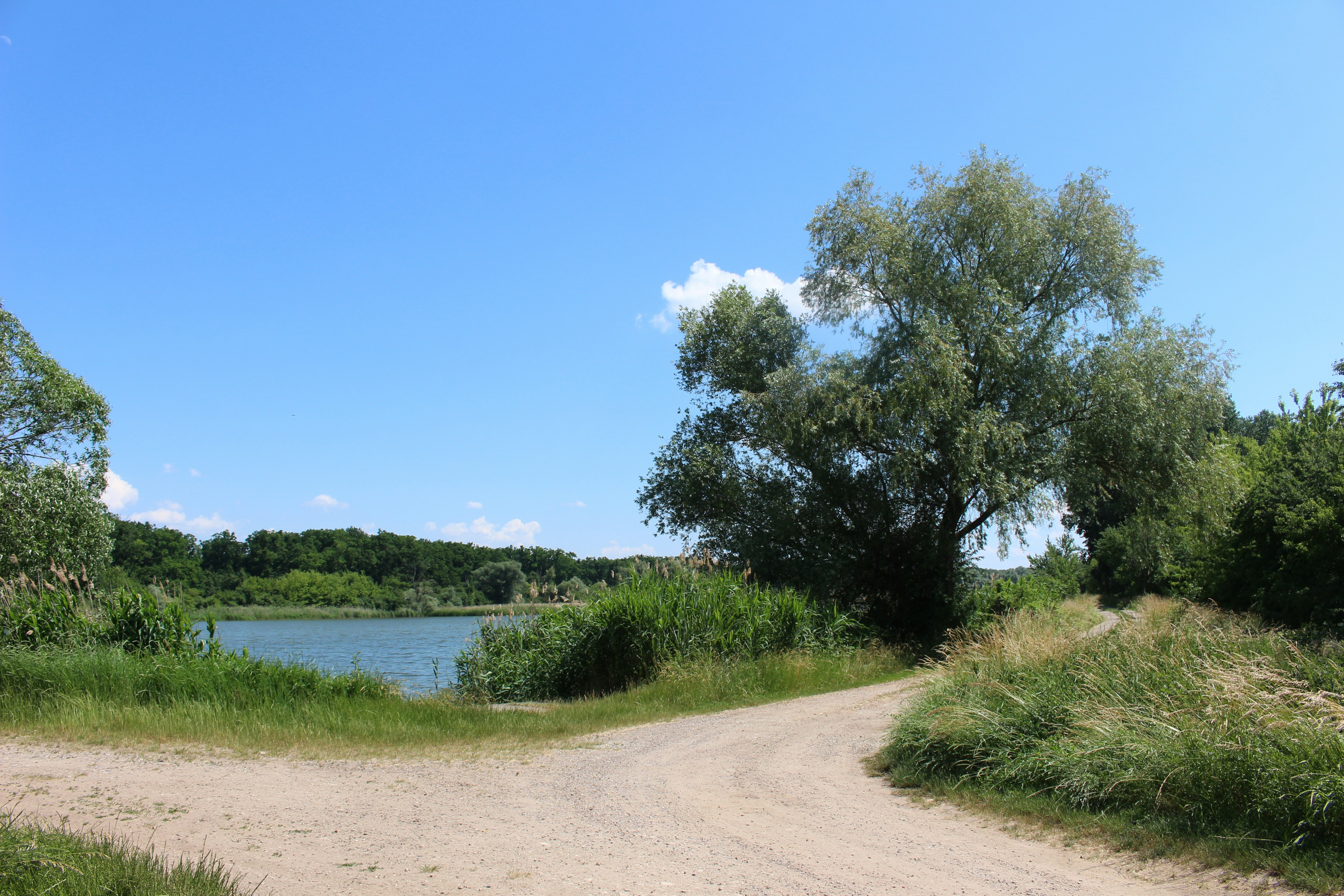 Photo by marjorylucabaxter