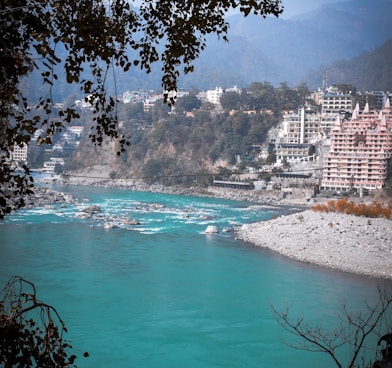 a body of water surrounded by trees and buildings