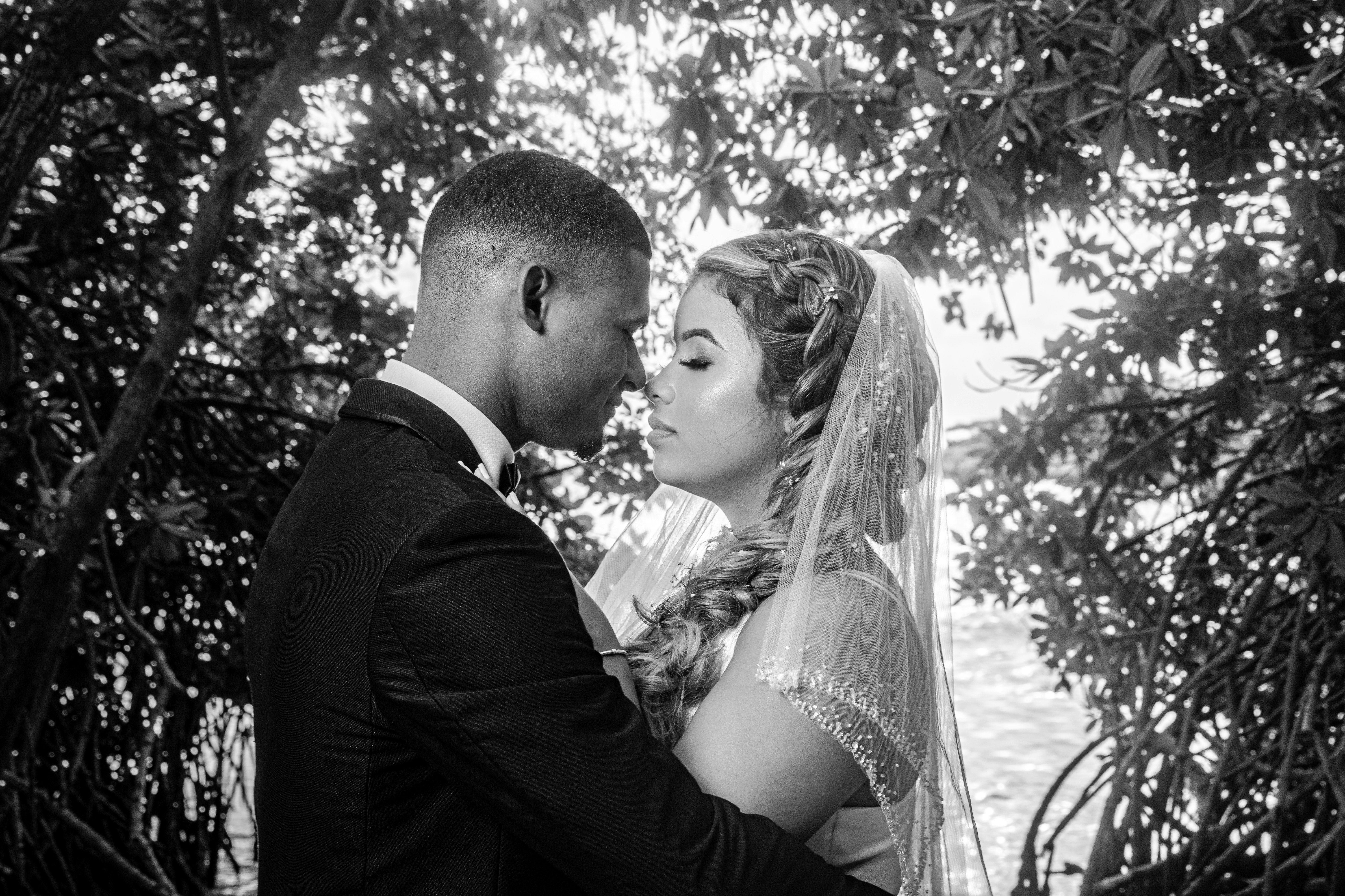 Photo by colynarymedia