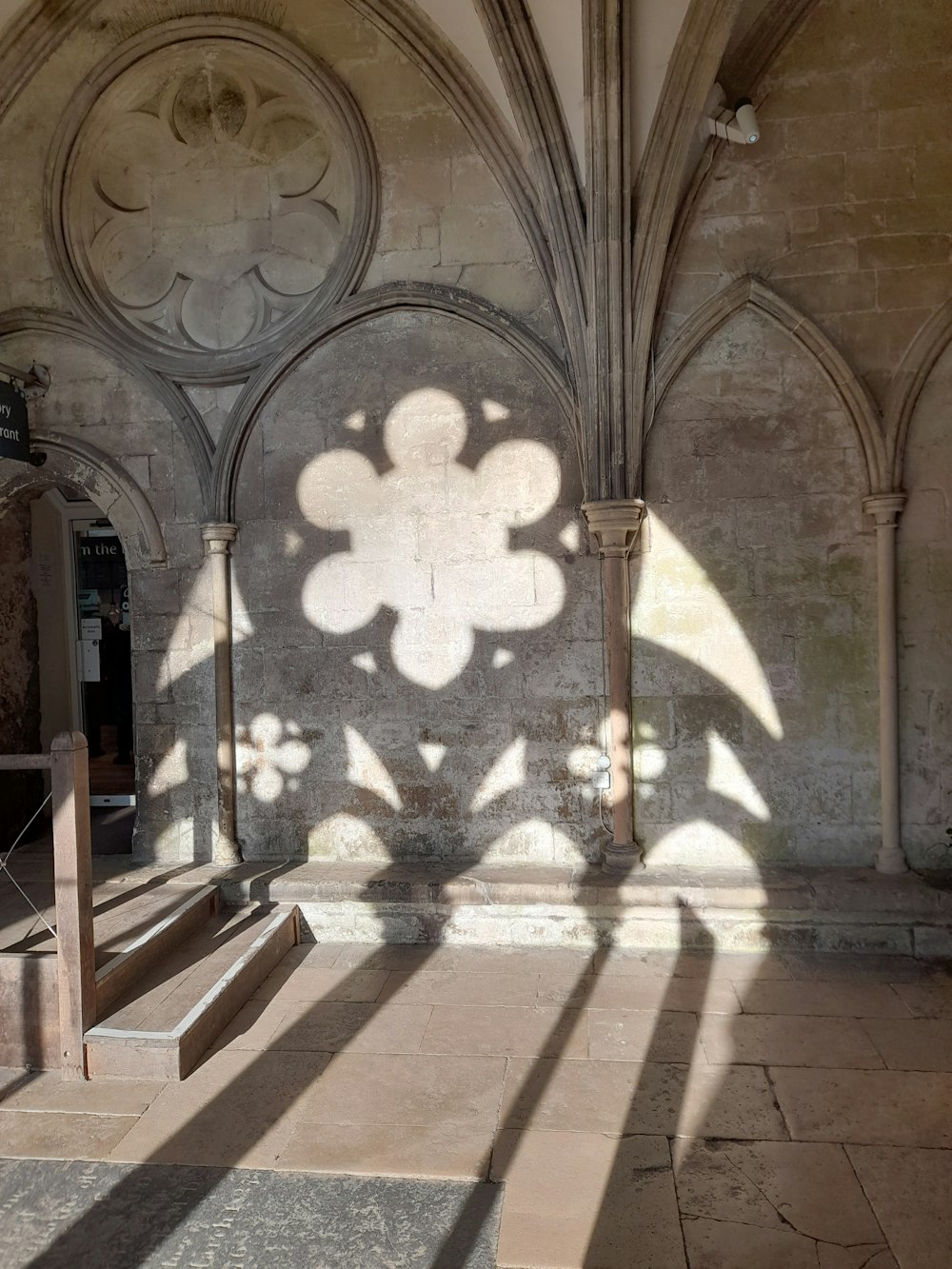 uma sombra de uma flor na parede de um edifício