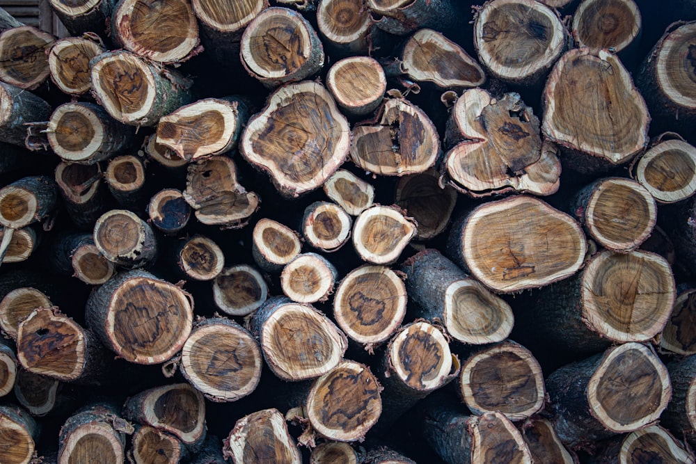 a pile of cut logs stacked on top of each other