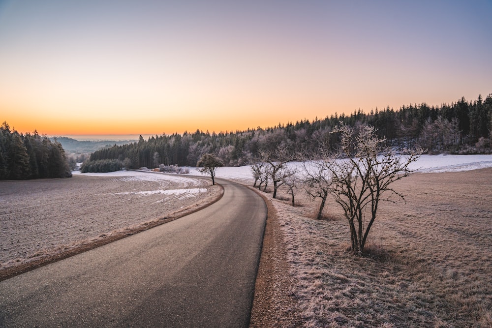 a road in the middle of a snowy field